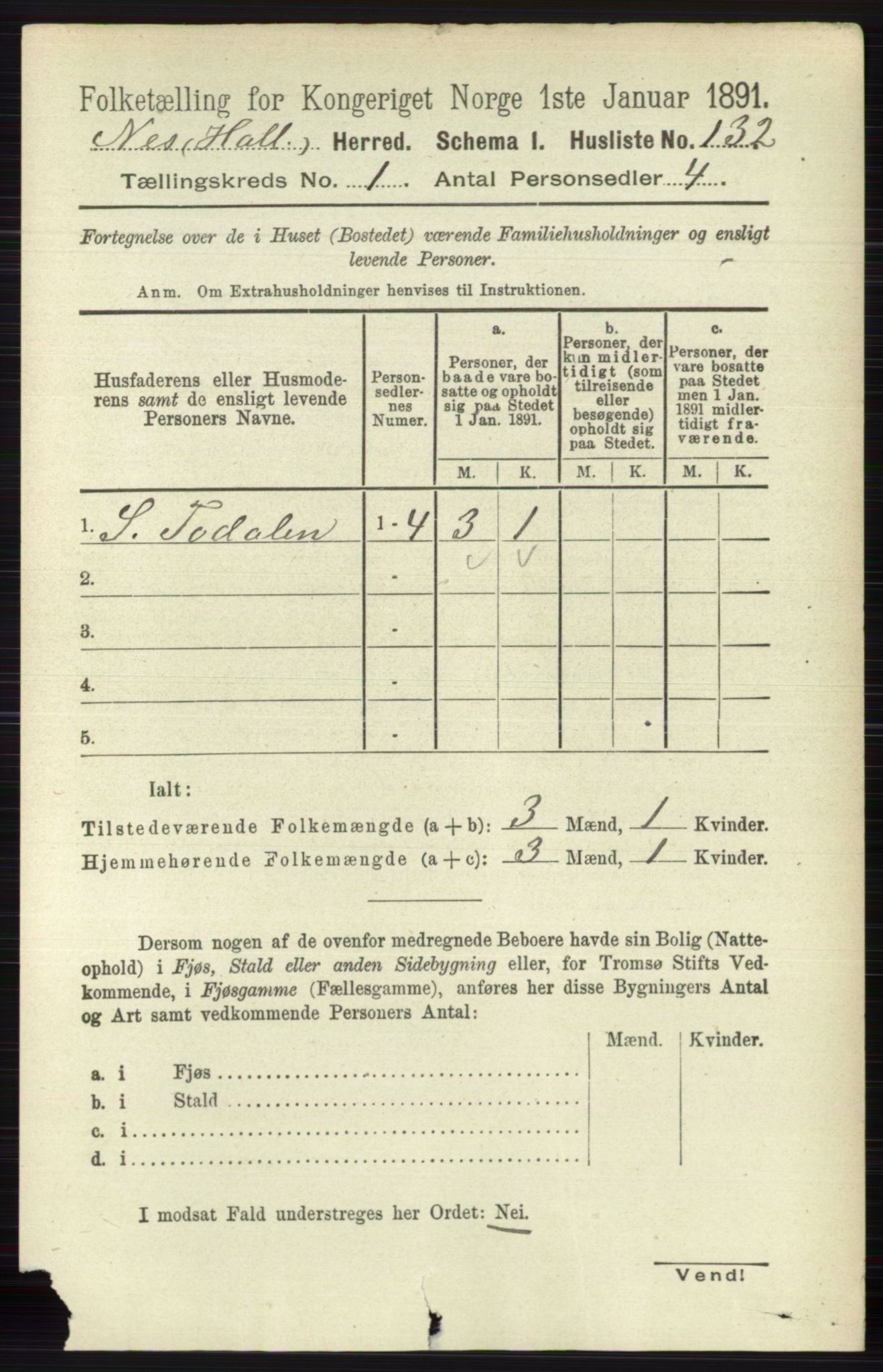 RA, 1891 census for 0616 Nes, 1891, p. 174