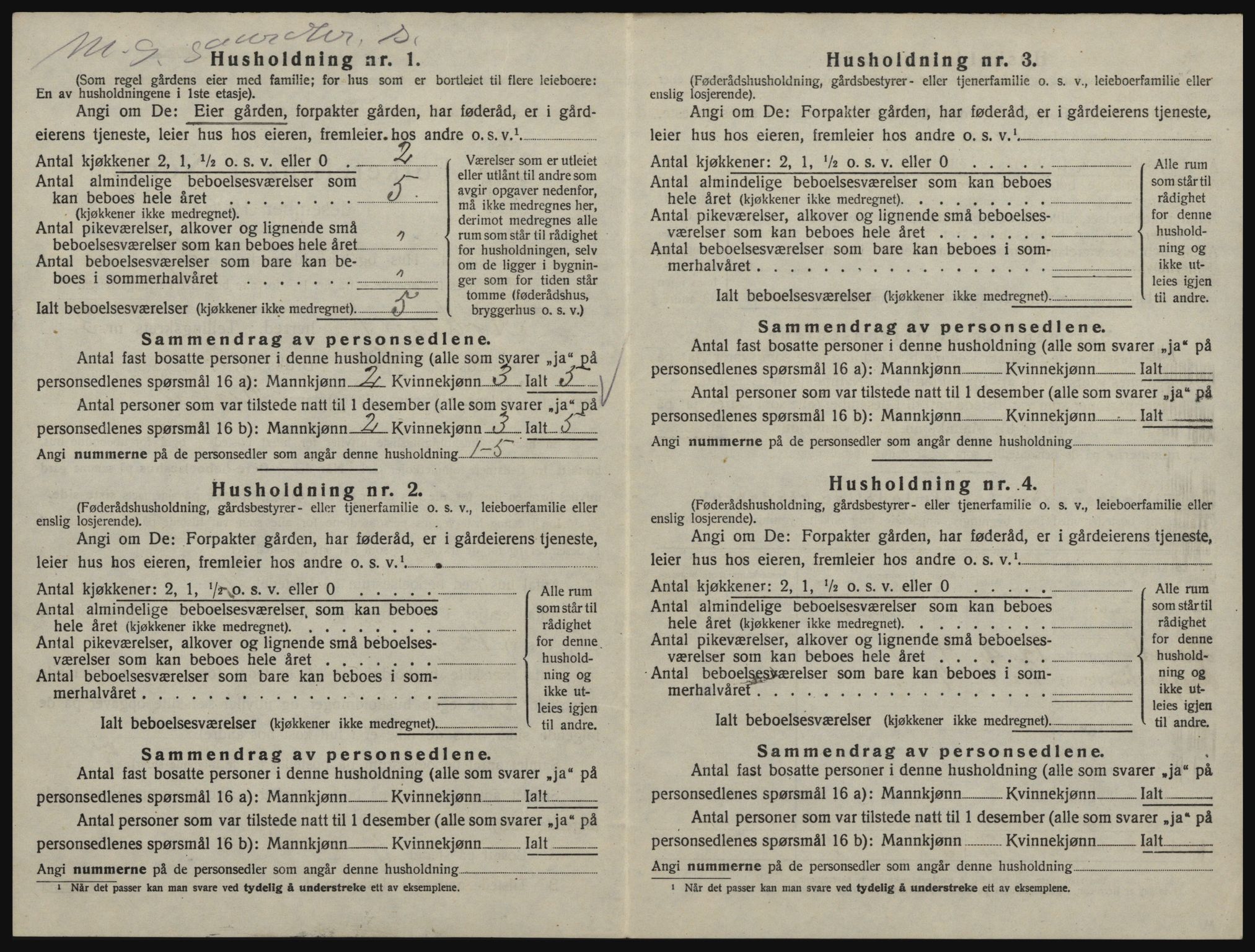 SAO, 1920 census for Rødenes, 1920, p. 381