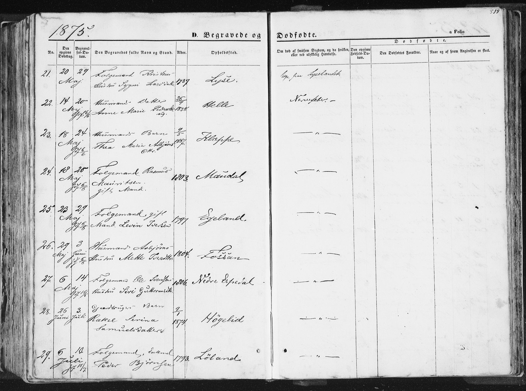 Høgsfjord sokneprestkontor, AV/SAST-A-101624/H/Ha/Haa/L0001: Parish register (official) no. A 1, 1854-1875, p. 319