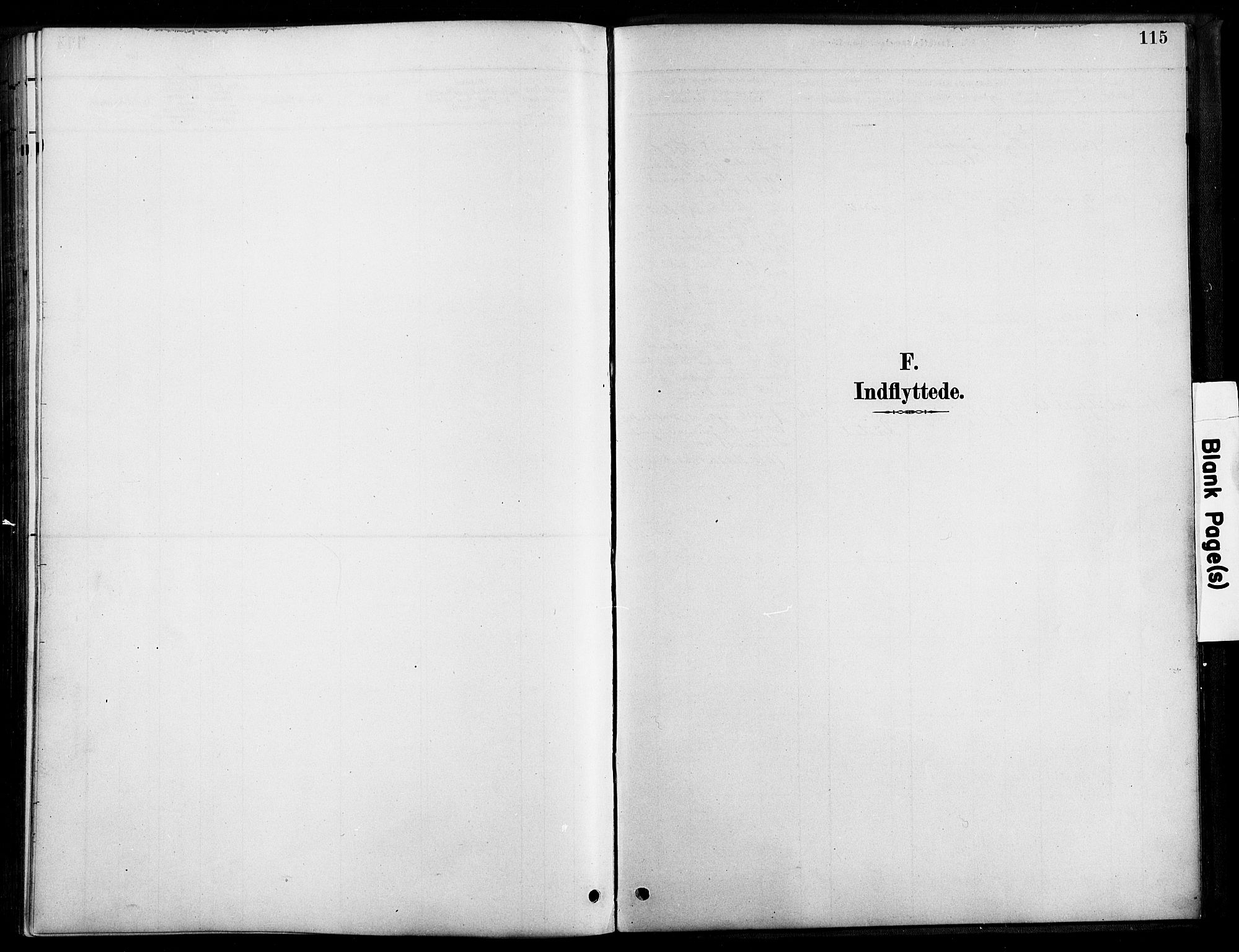 Bygland sokneprestkontor, SAK/1111-0006/F/Fa/Faa/L0001: Parish register (official) no. A 1, 1885-1908, p. 115