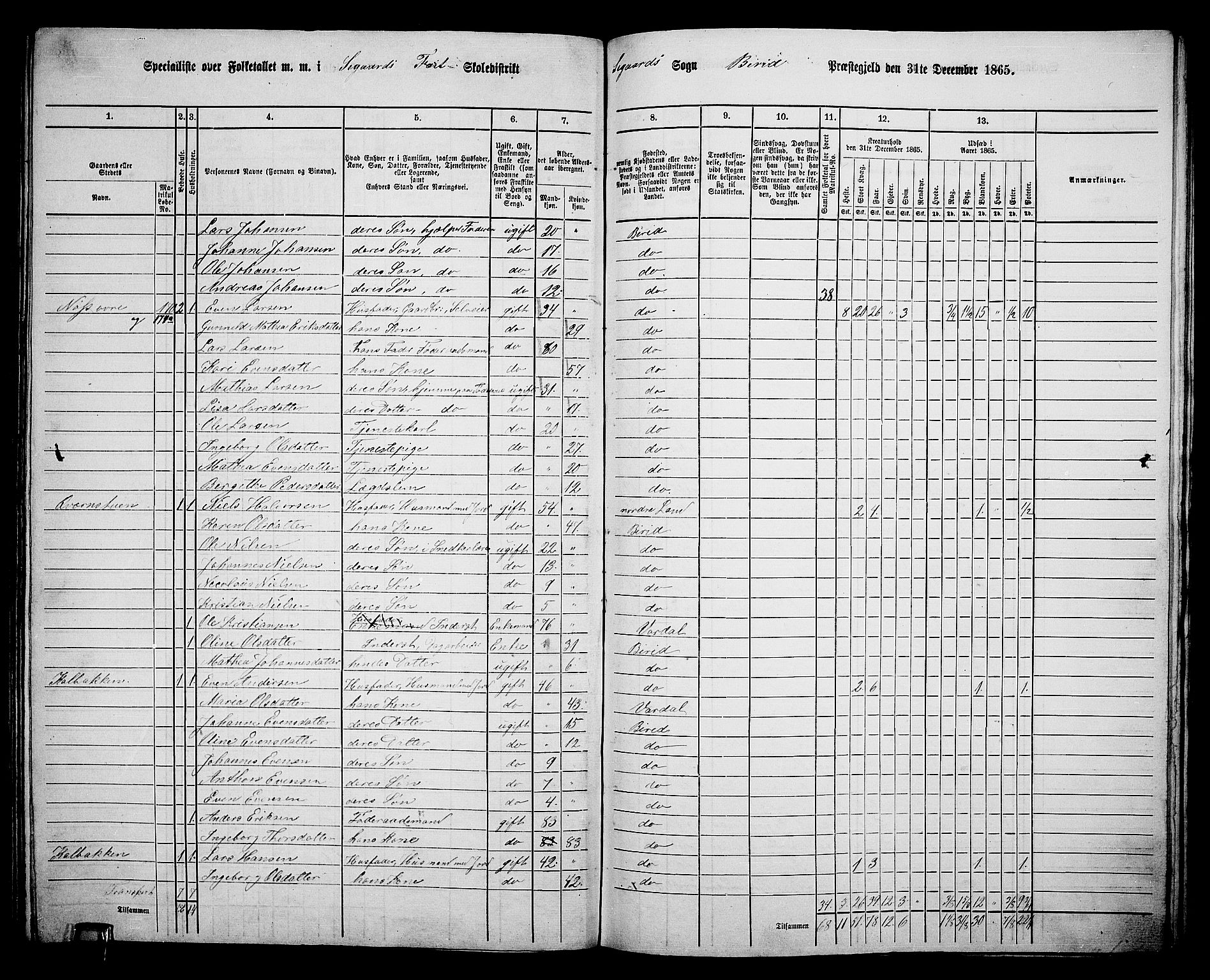 RA, 1865 census for Biri, 1865, p. 162