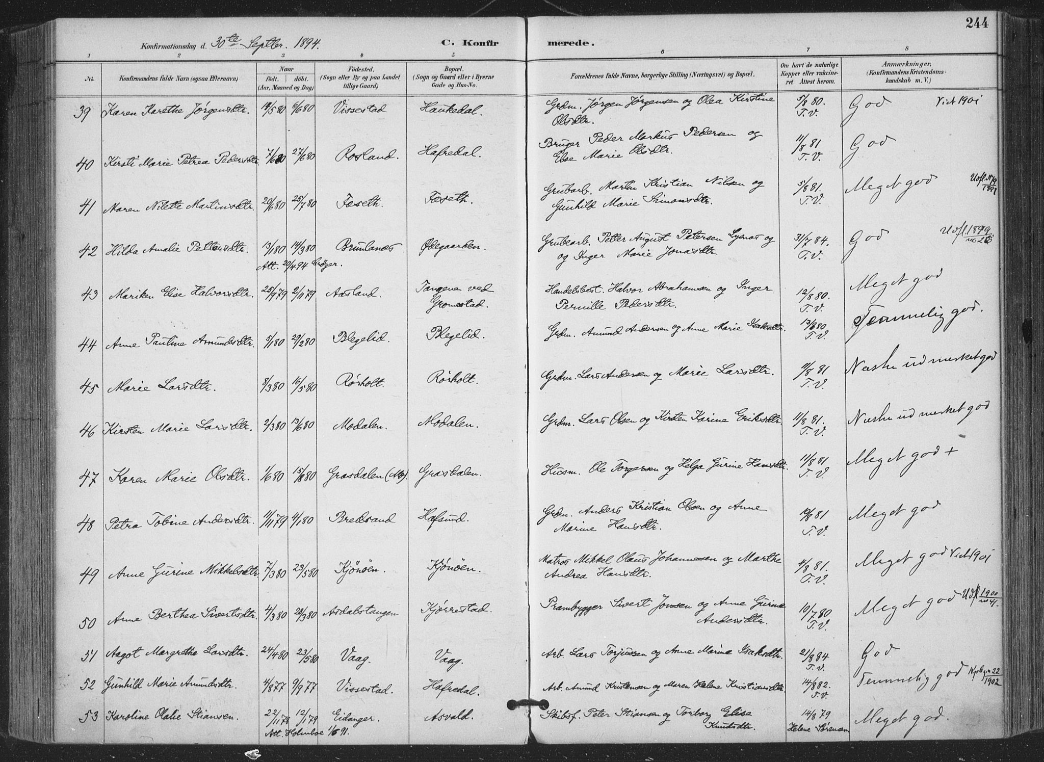 Bamble kirkebøker, SAKO/A-253/F/Fa/L0008: Parish register (official) no. I 8, 1888-1900, p. 244