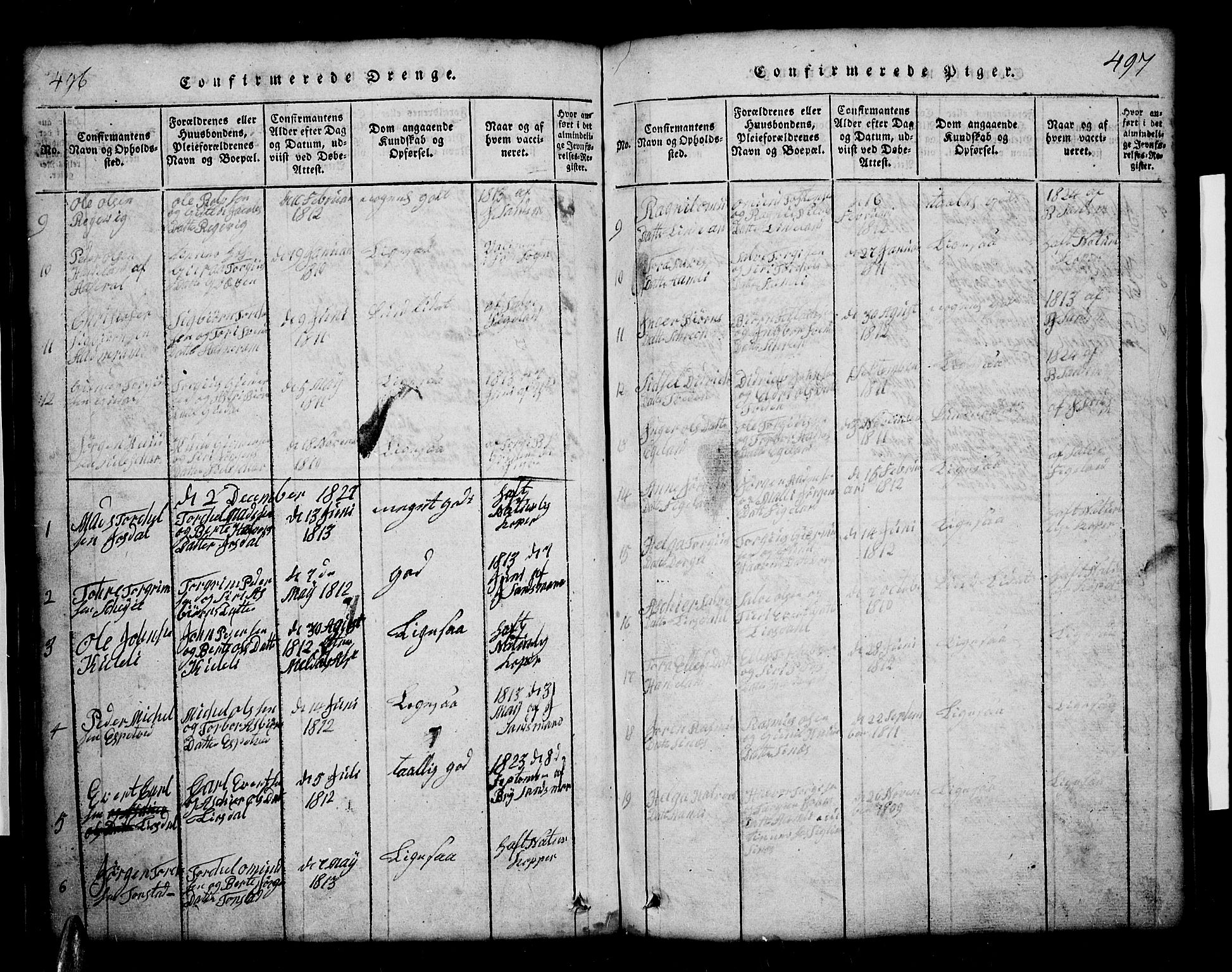 Sirdal sokneprestkontor, AV/SAK-1111-0036/F/Fb/Fbb/L0001: Parish register (copy) no. B 1, 1815-1834, p. 496-497