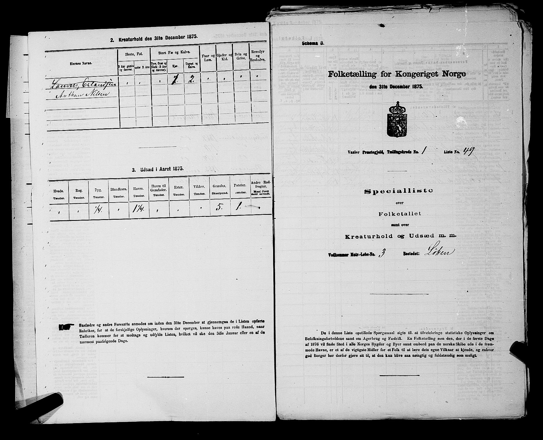 RA, 1875 census for 0137P Våler, 1875, p. 35