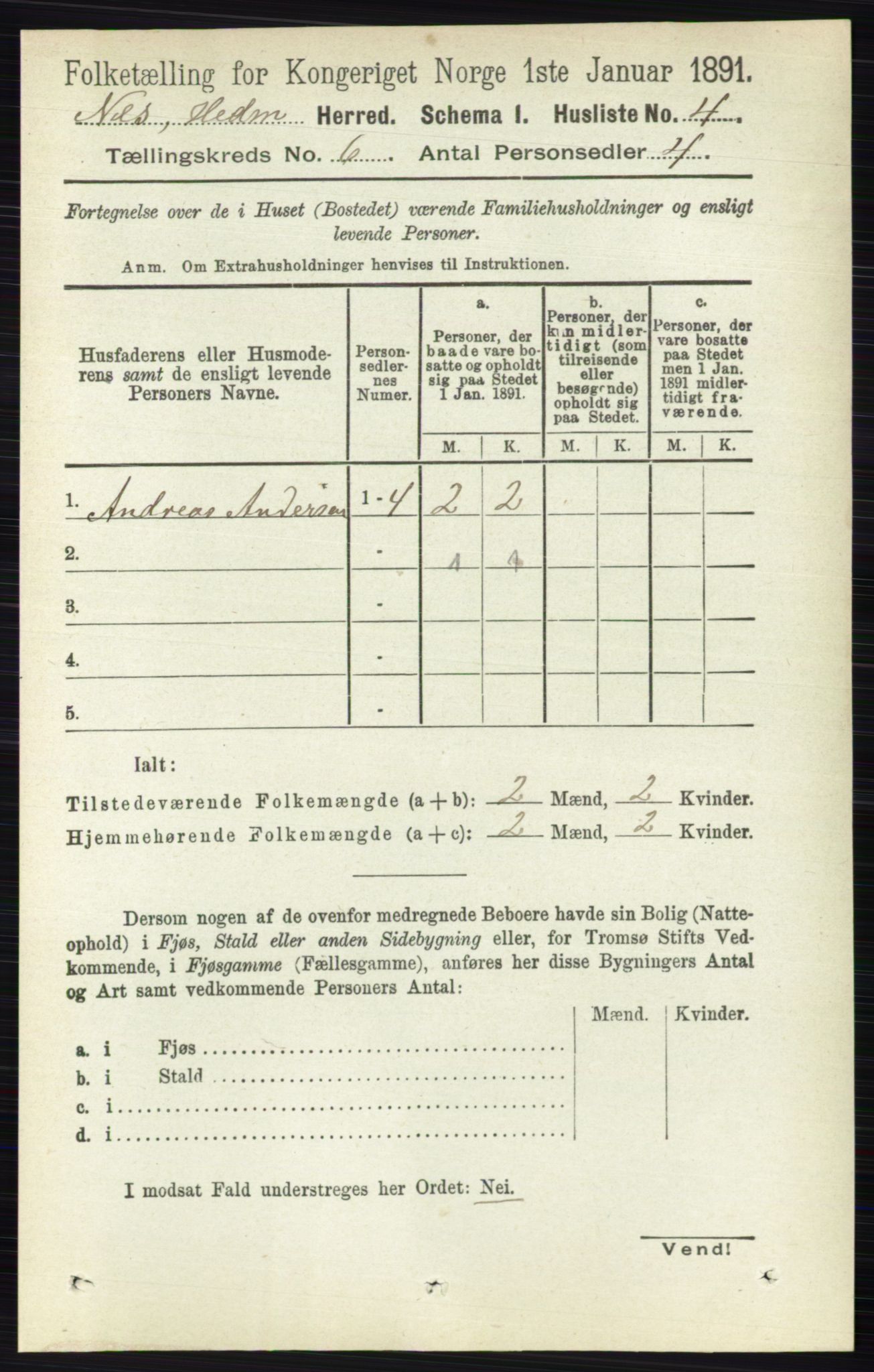 RA, 1891 census for 0411 Nes, 1891, p. 3172