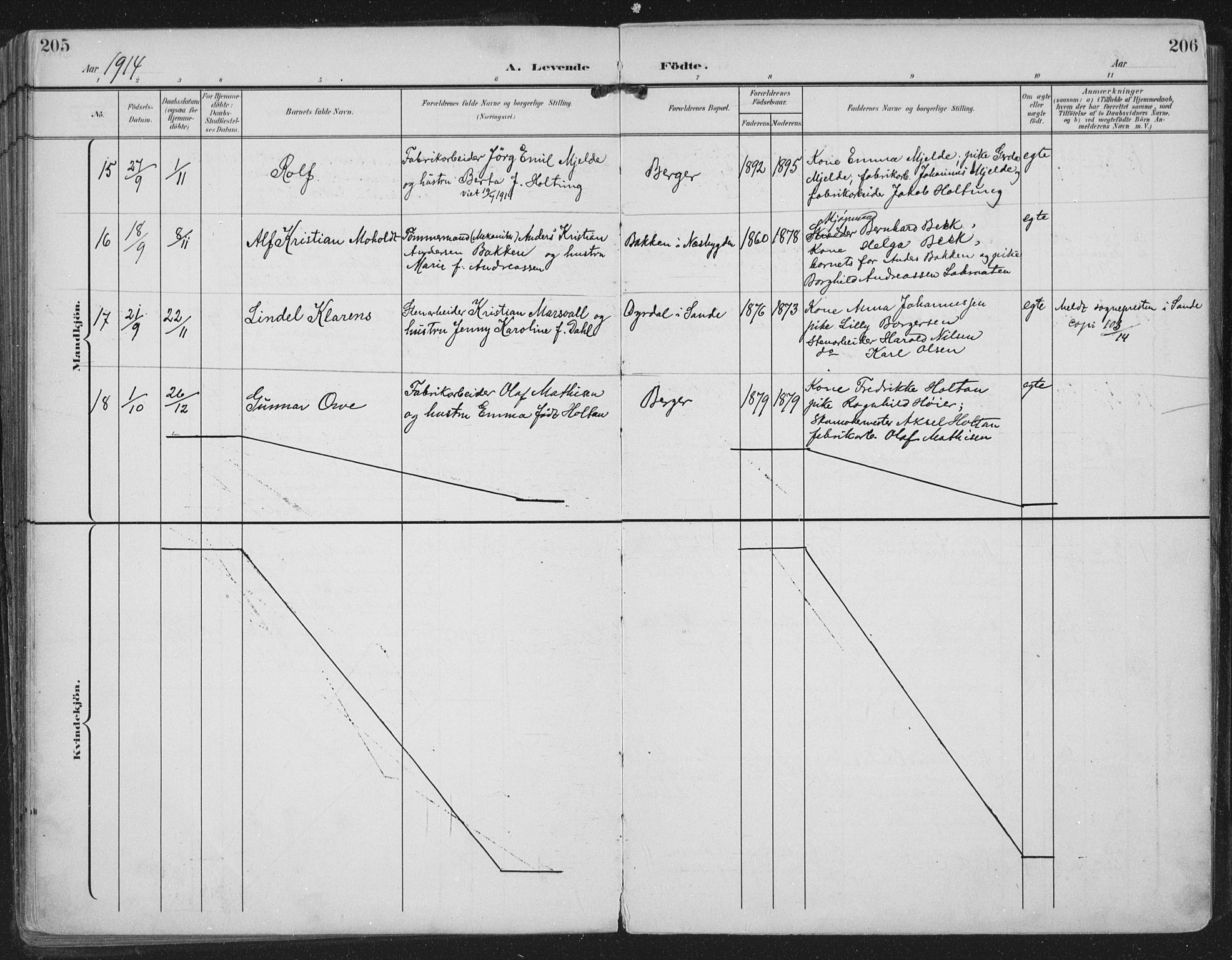 Strømm kirkebøker, AV/SAKO-A-322/F/Fa/L0005: Parish register (official) no. I 5, 1898-1919, p. 205-206