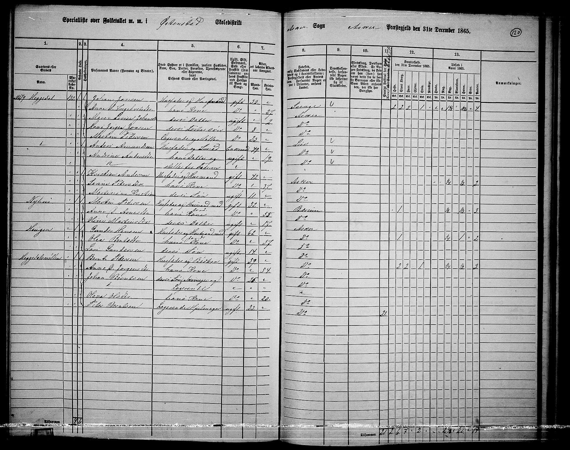 RA, 1865 census for Asker, 1865, p. 116