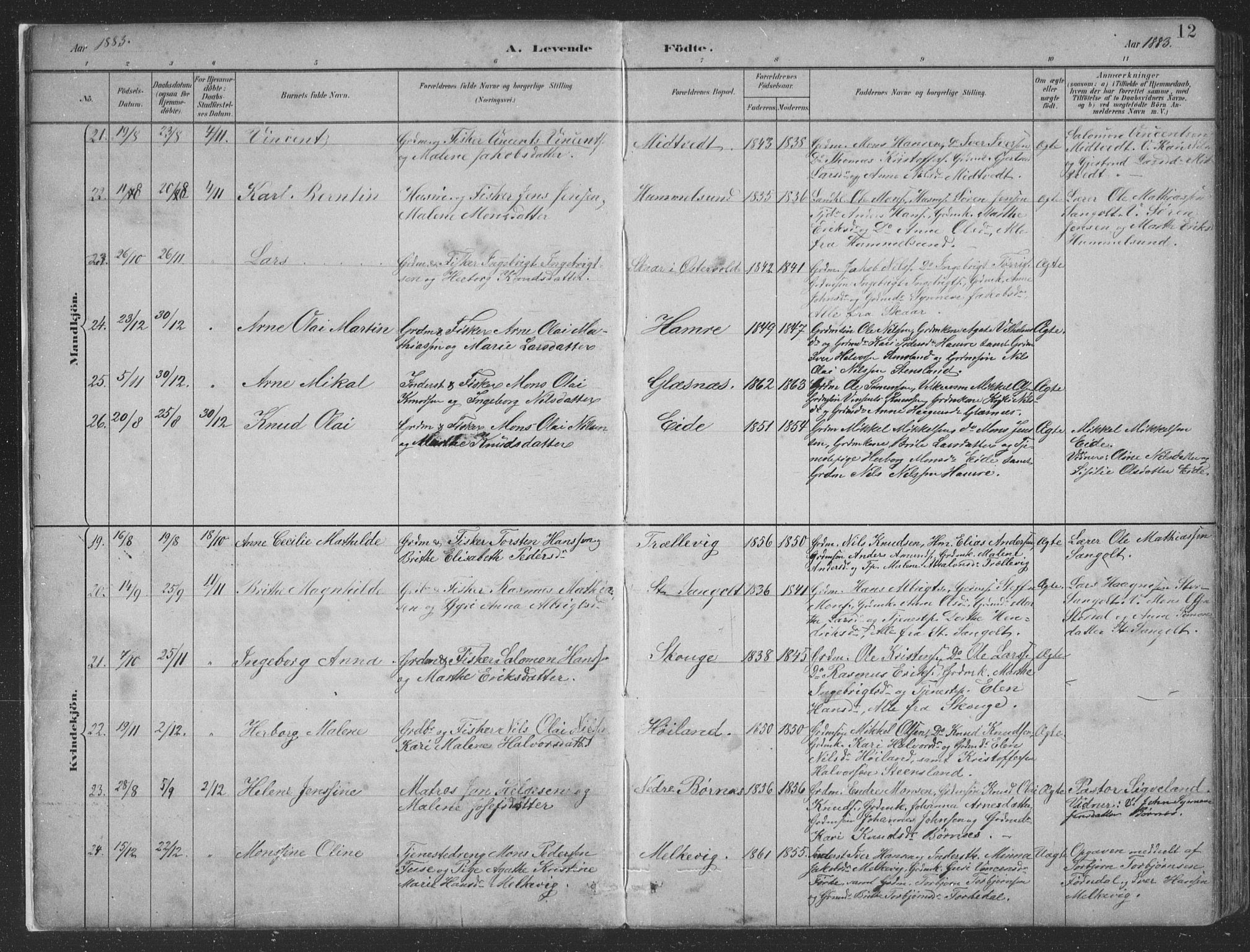 Sund sokneprestembete, AV/SAB-A-99930: Parish register (copy) no. B 3, 1882-1911, p. 12