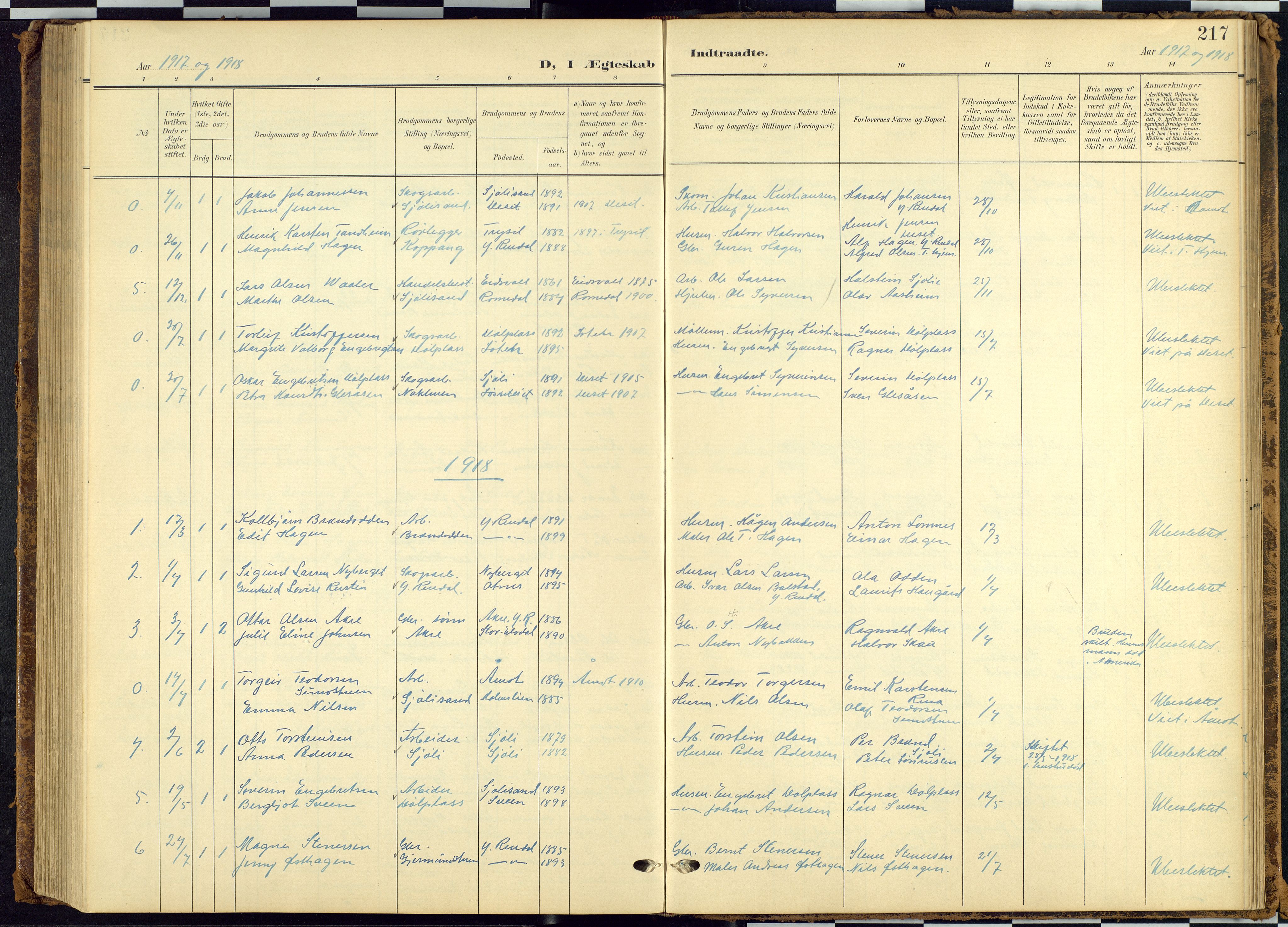 Rendalen prestekontor, SAH/PREST-054/H/Ha/Hab/L0010: Parish register (copy) no. 10, 1903-1940, p. 217
