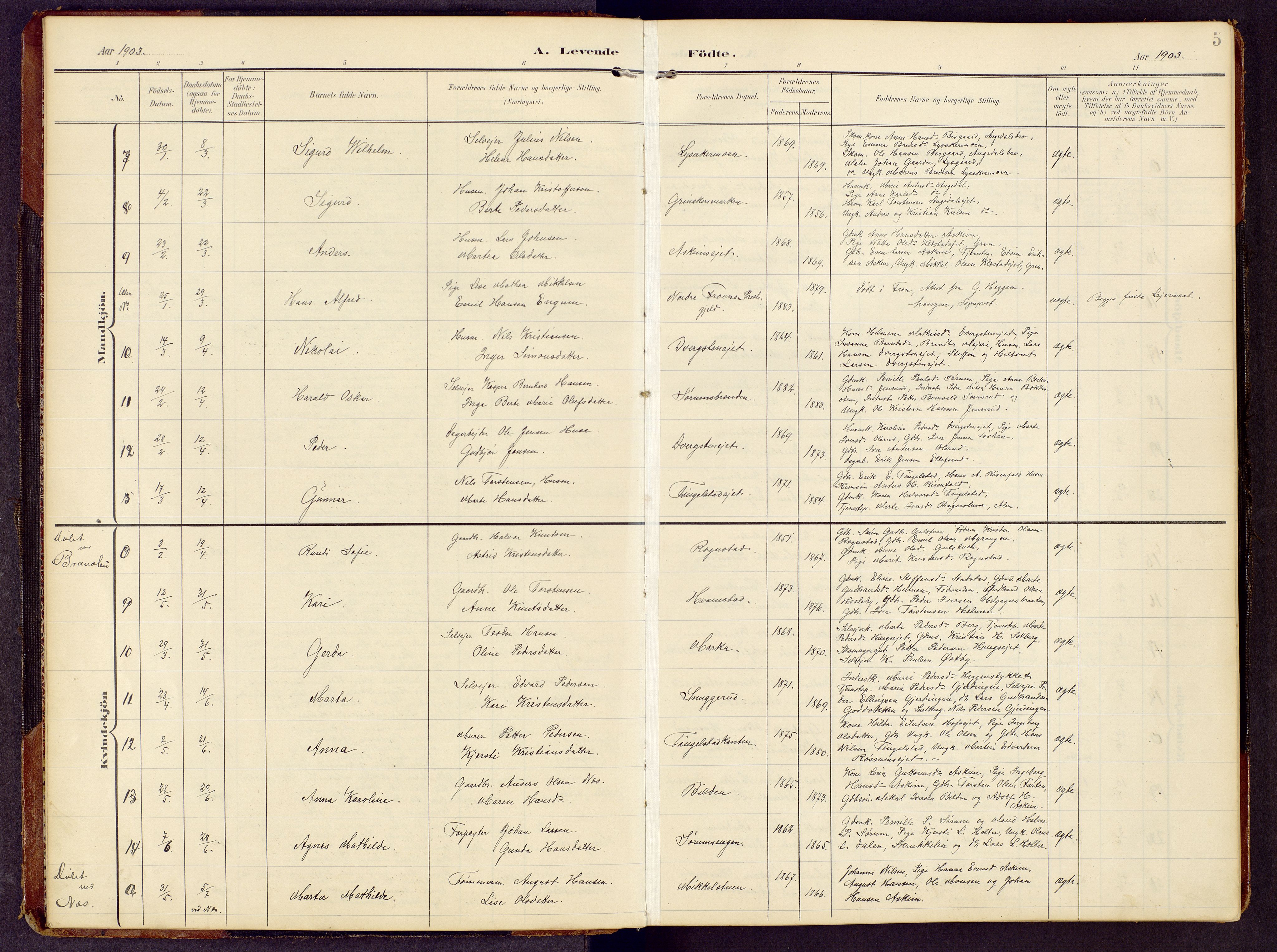 Brandbu prestekontor, SAH/PREST-114/H/Ha/Hab/L0009: Parish register (copy) no. 9, 1903-1916, p. 5
