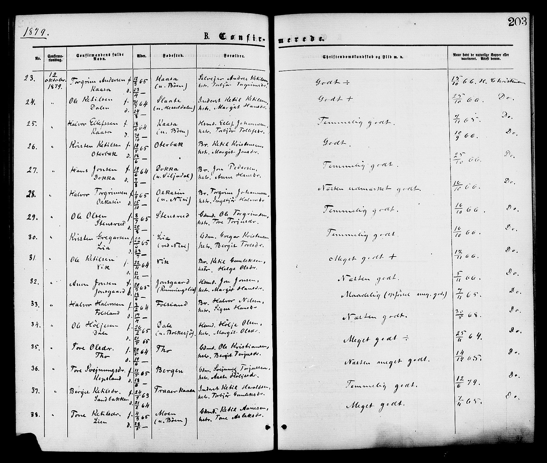 Gransherad kirkebøker, SAKO/A-267/F/Fa/L0004: Parish register (official) no. I 4, 1871-1886, p. 203