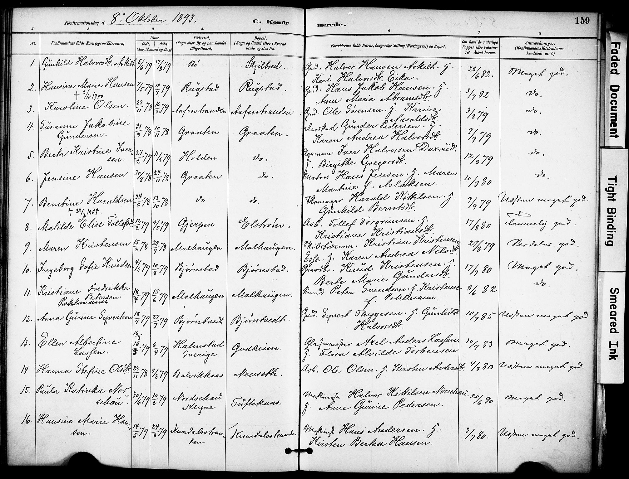 Solum kirkebøker, SAKO/A-306/F/Fa/L0010: Parish register (official) no. I 10, 1888-1898, p. 159