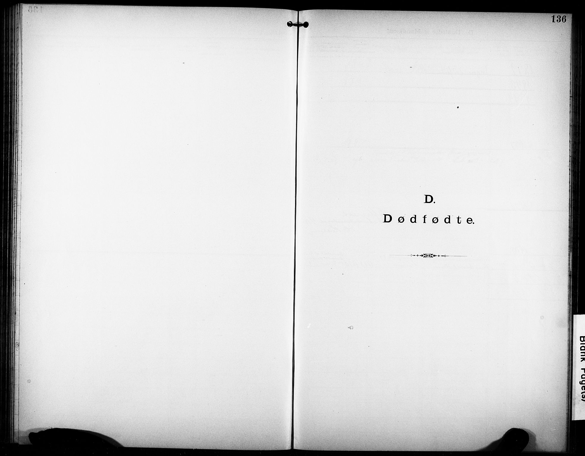 Den katolsk-apostoliske menighet i Larvik, AV/SAKO-P-953/F/Fa/L0001: Dissenter register no. 1, 1892-1933, p. 136