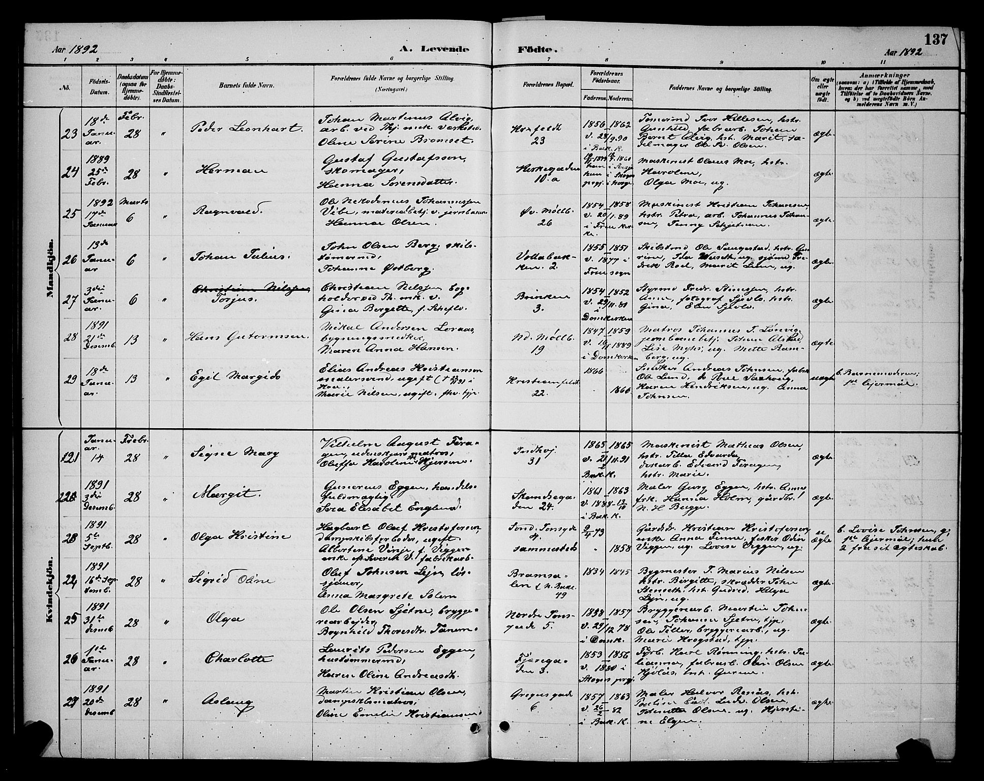 Ministerialprotokoller, klokkerbøker og fødselsregistre - Sør-Trøndelag, AV/SAT-A-1456/604/L0222: Parish register (copy) no. 604C05, 1886-1895, p. 137