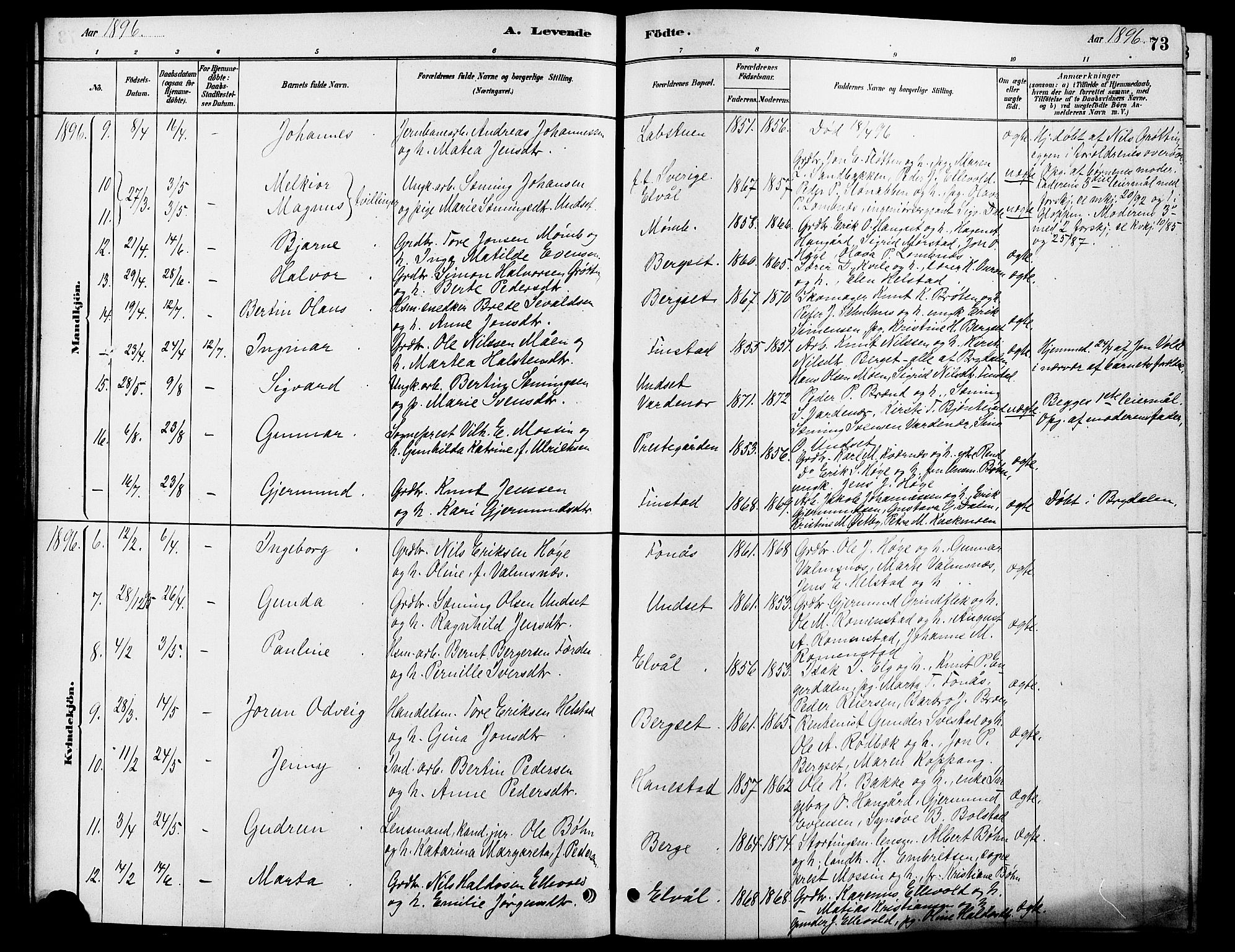 Rendalen prestekontor, SAH/PREST-054/H/Ha/Hab/L0003: Parish register (copy) no. 3, 1879-1904, p. 73