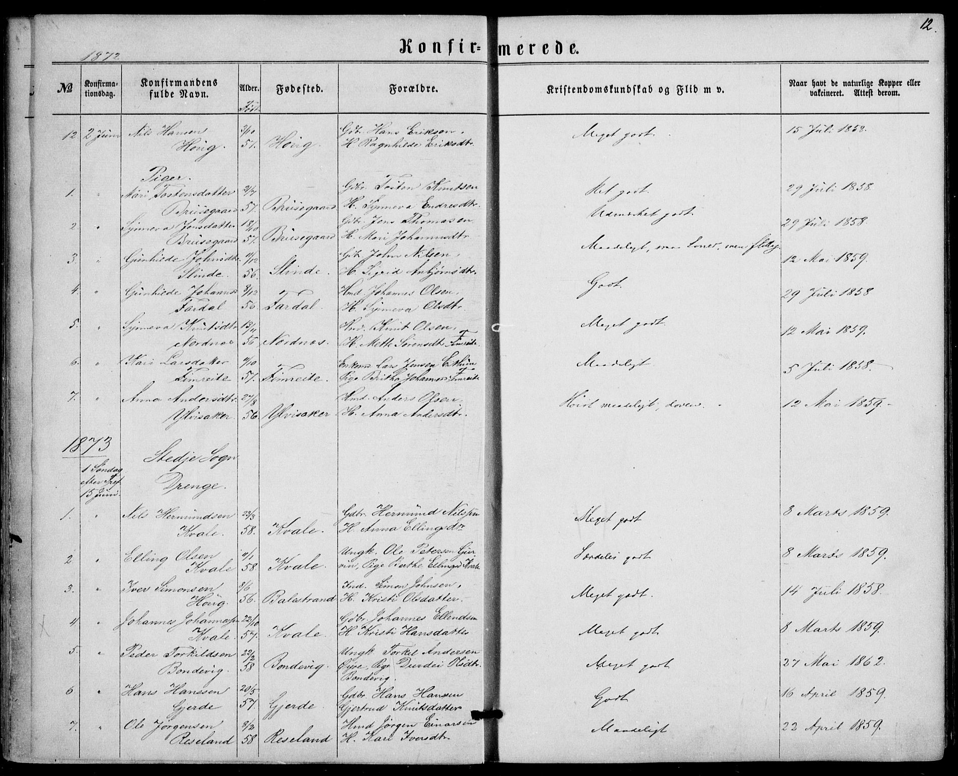 Sogndal sokneprestembete, SAB/A-81301/H/Haa/Haaa/L0015: Parish register (official) no. A 15, 1871-1904, p. 12