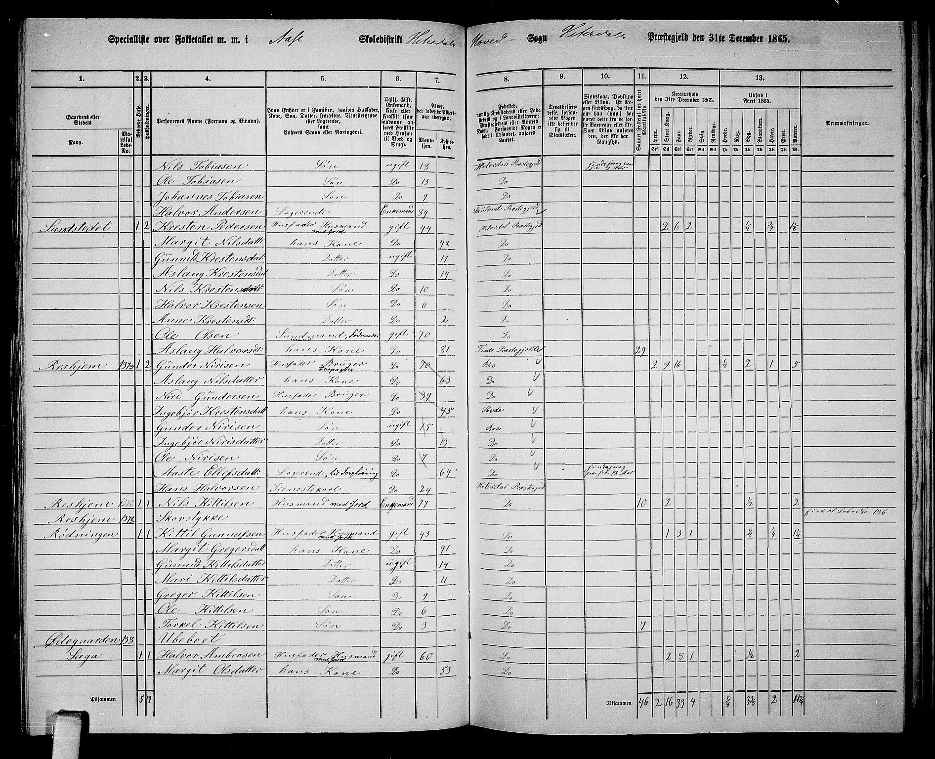 RA, 1865 census for Heddal, 1865, p. 113