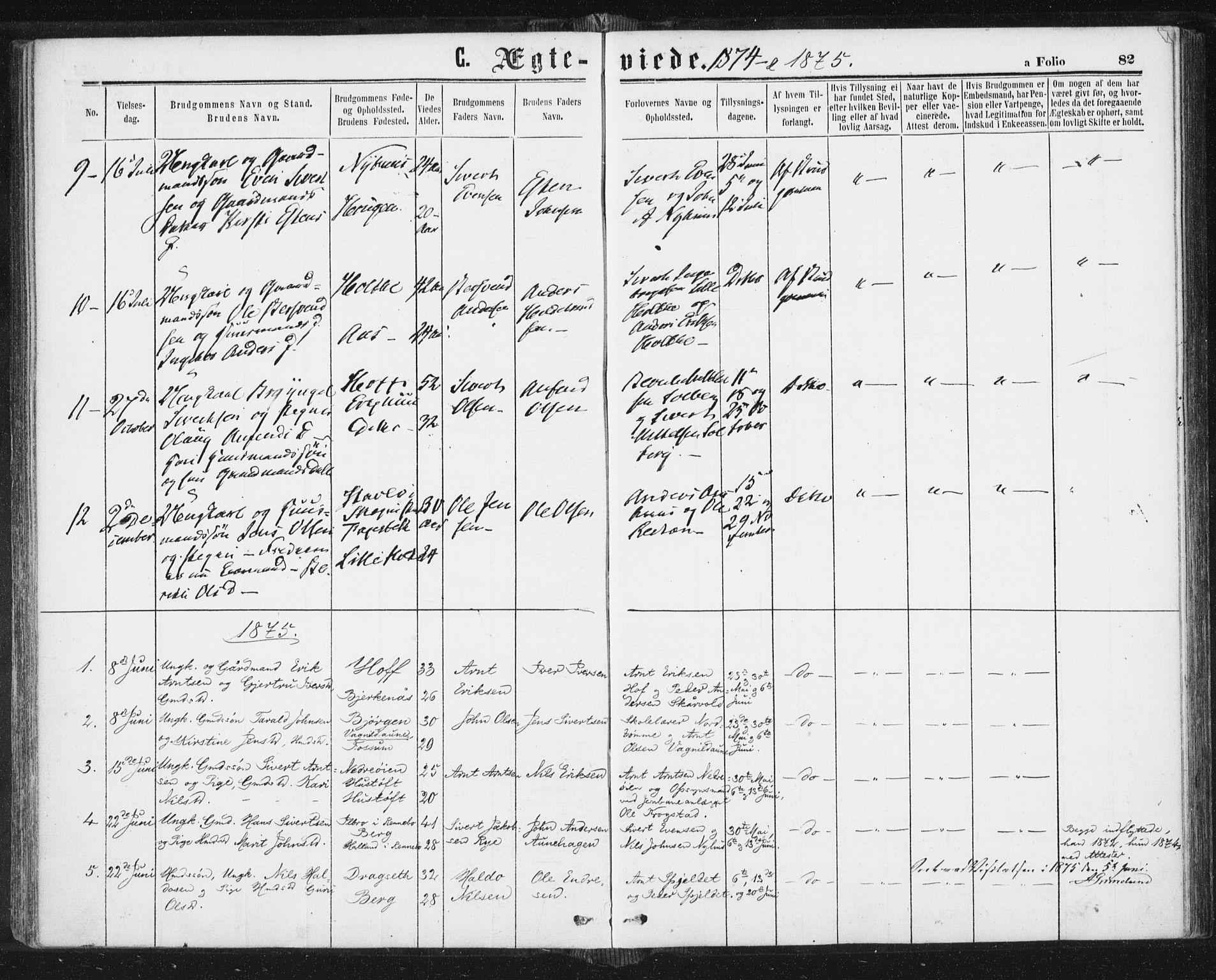 Ministerialprotokoller, klokkerbøker og fødselsregistre - Sør-Trøndelag, SAT/A-1456/689/L1039: Parish register (official) no. 689A04, 1865-1878, p. 82