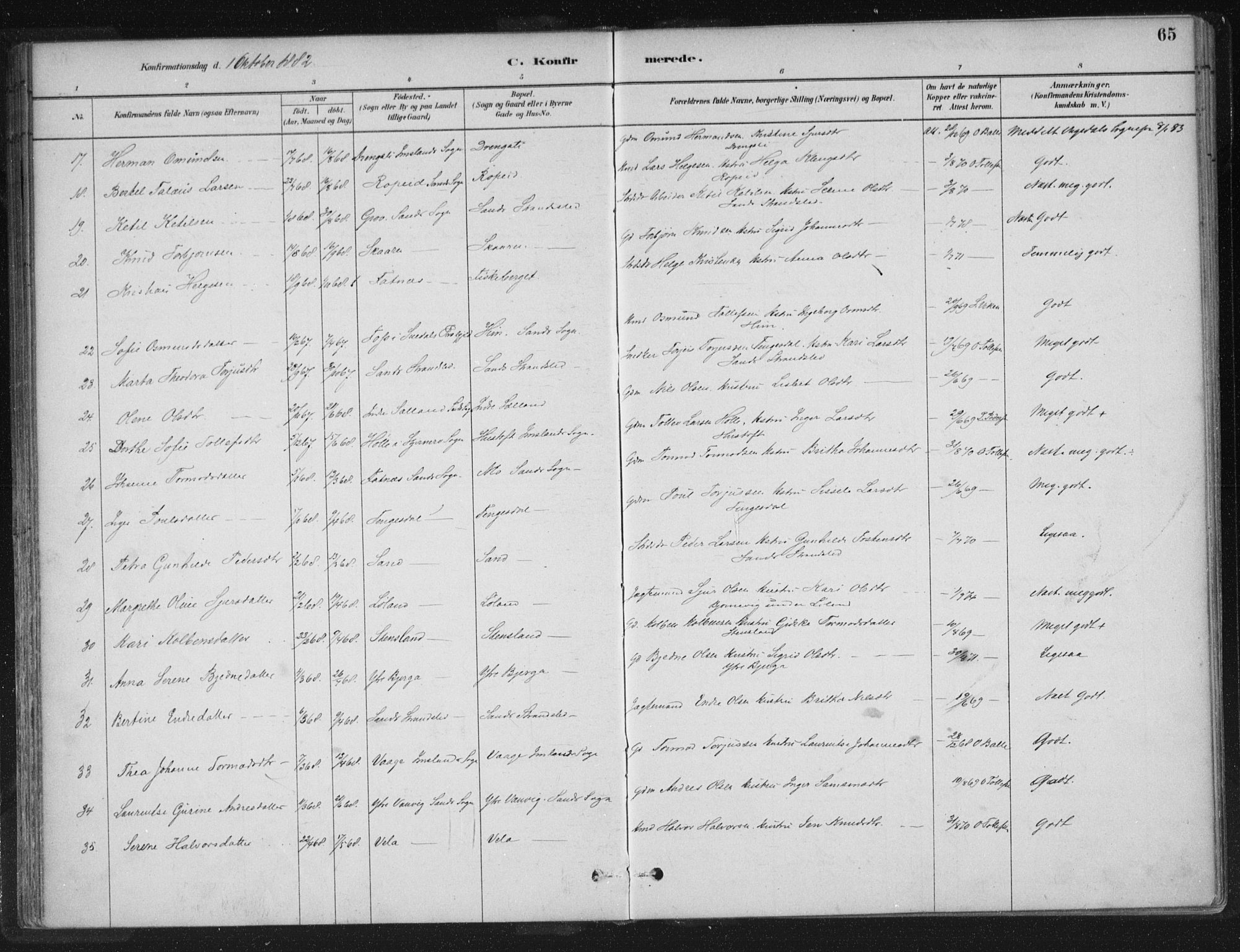 Sand sokneprestkontor, AV/SAST-A-101848/01/III/L0005: Parish register (official) no. A 5, 1880-1898, p. 65