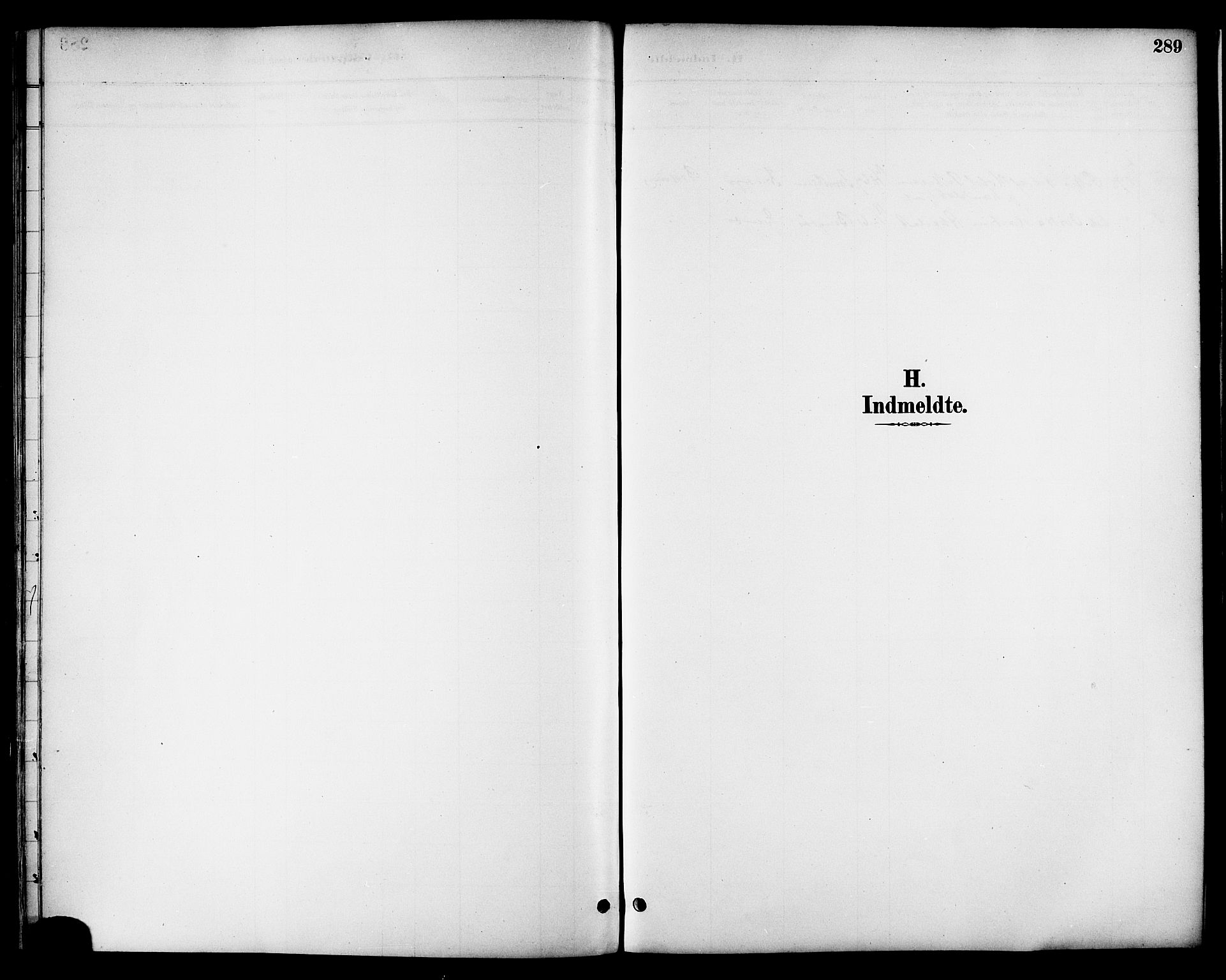 Ministerialprotokoller, klokkerbøker og fødselsregistre - Nordland, SAT/A-1459/863/L0898: Parish register (official) no. 863A10, 1886-1897, p. 289