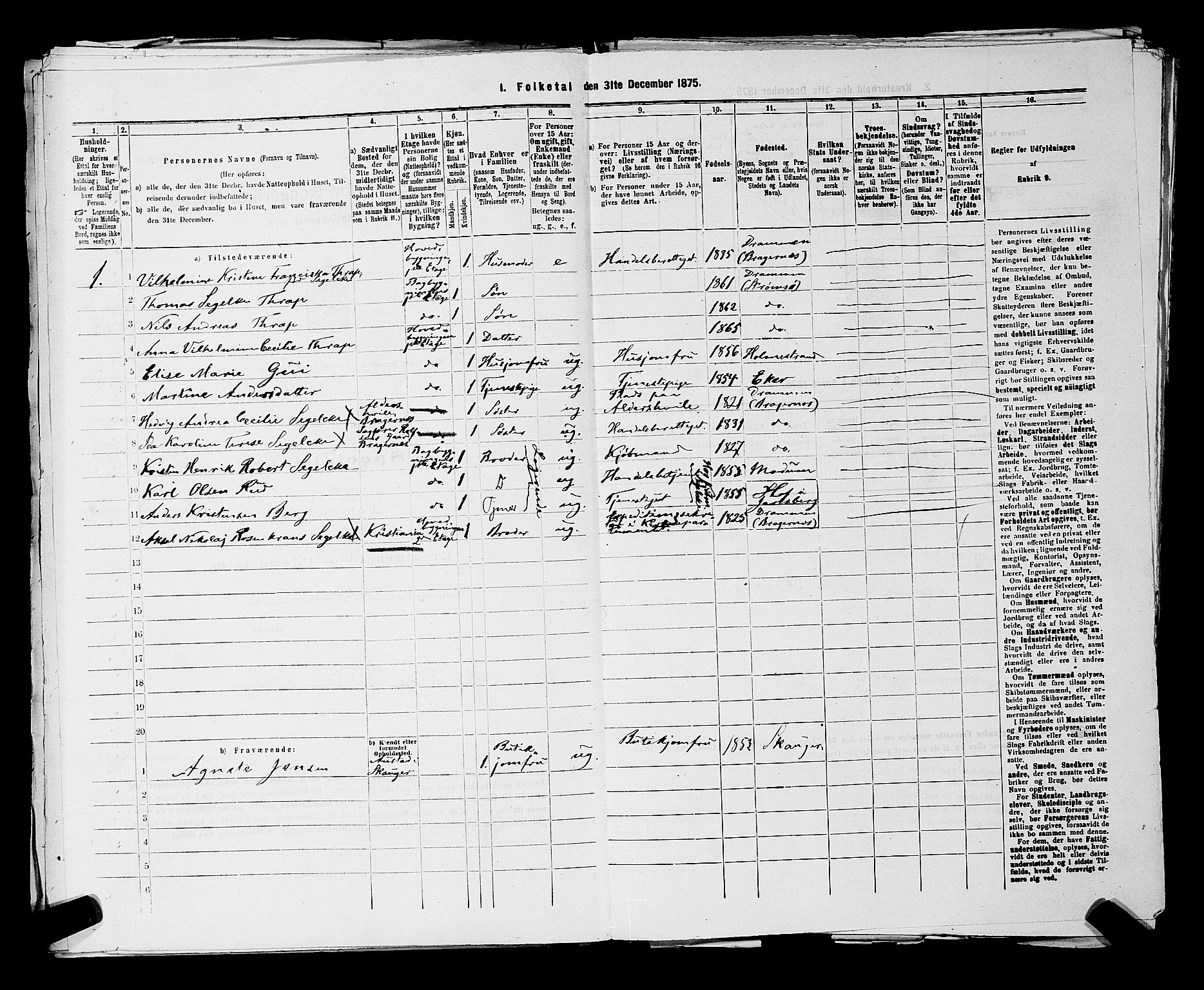 SAKO, 1875 census for 0602 Drammen, 1875, p. 2943