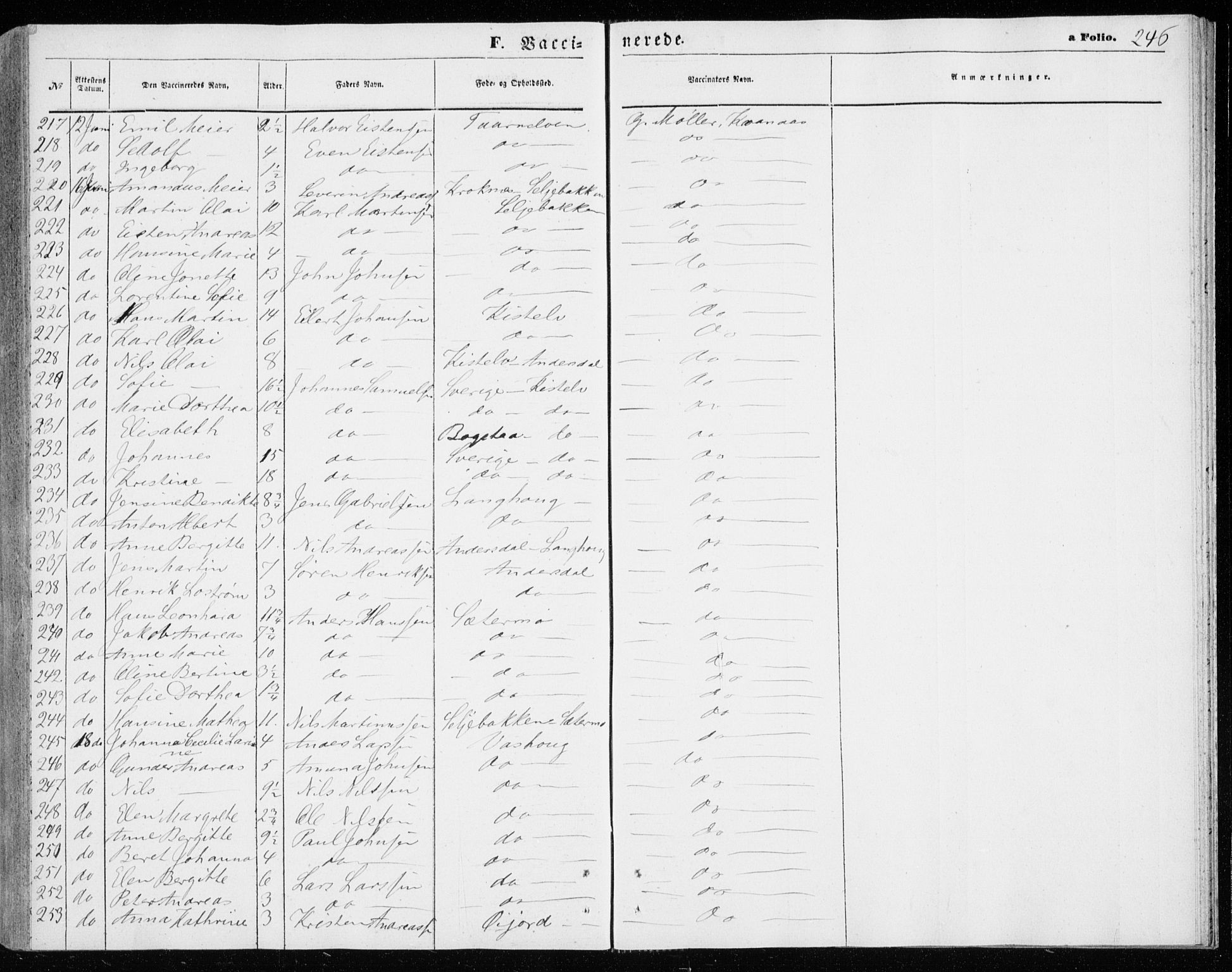 Lenvik sokneprestembete, AV/SATØ-S-1310/H/Ha/Haa/L0009kirke: Parish register (official) no. 9, 1866-1873, p. 246