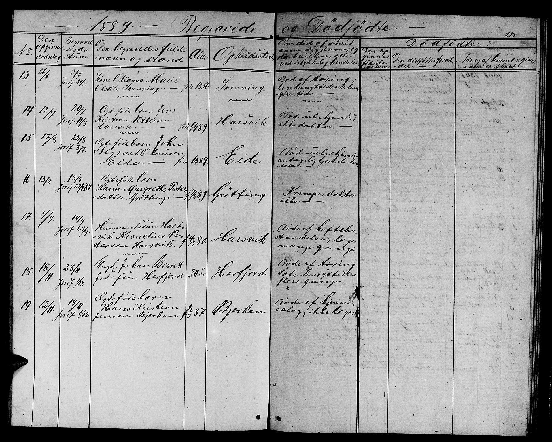Ministerialprotokoller, klokkerbøker og fødselsregistre - Sør-Trøndelag, AV/SAT-A-1456/656/L0695: Parish register (copy) no. 656C01, 1867-1889, p. 213