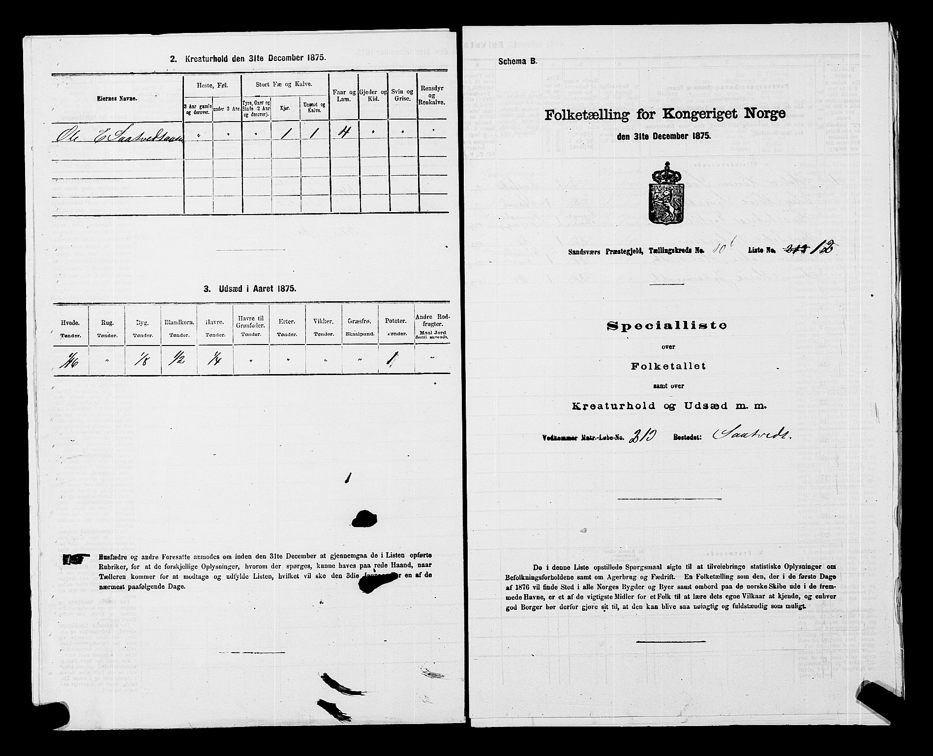 SAKO, 1875 census for 0629P Sandsvær, 1875, p. 1706