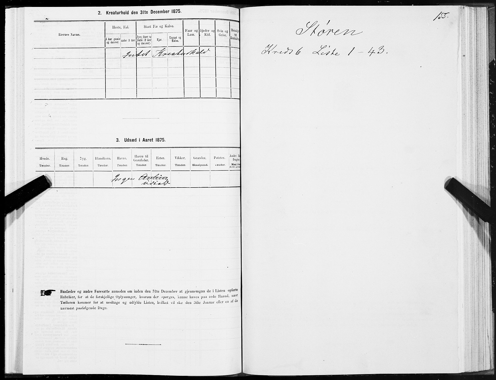 SAT, 1875 census for 1648P Støren, 1875, p. 3155