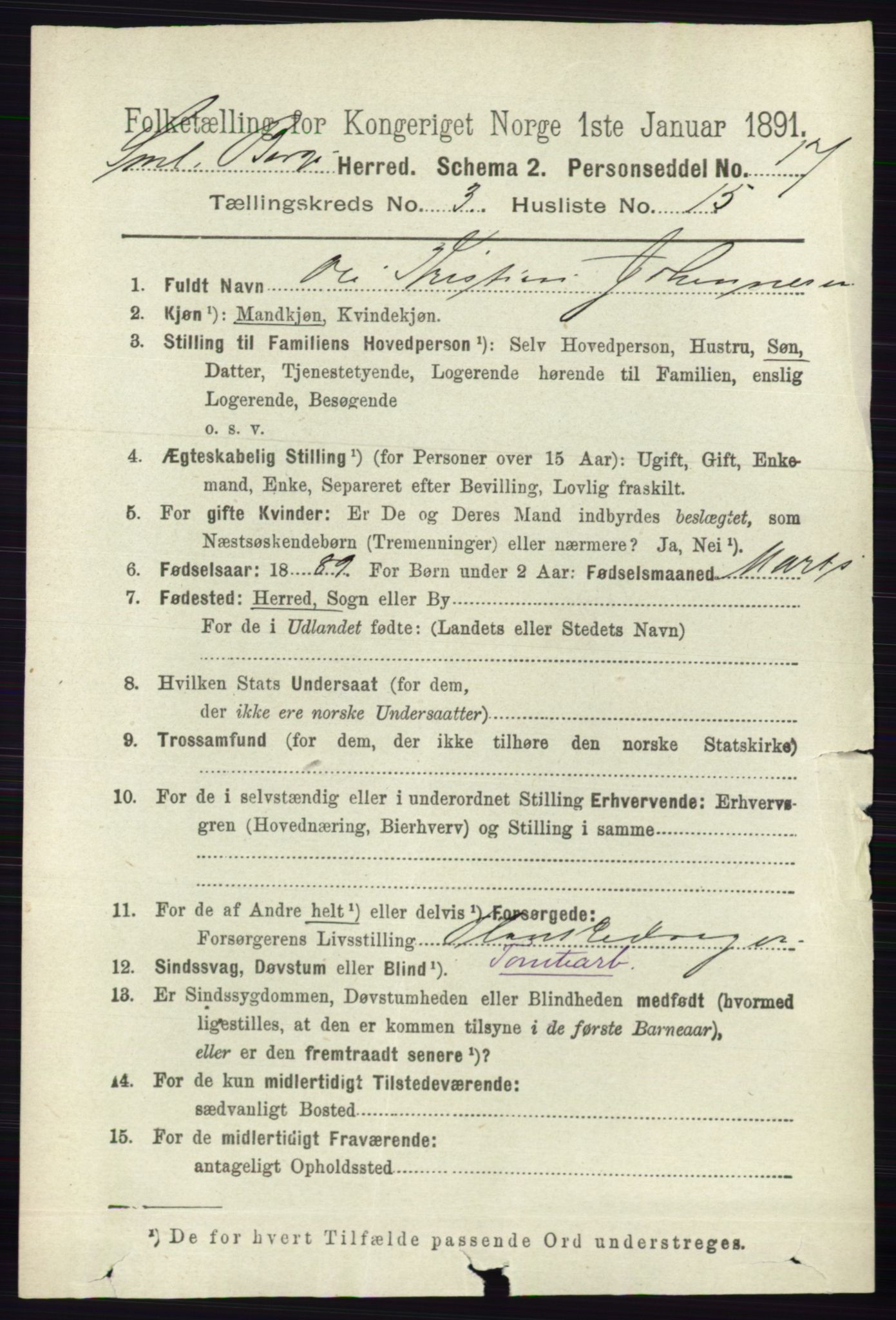 RA, 1891 census for 0113 Borge, 1891, p. 1554