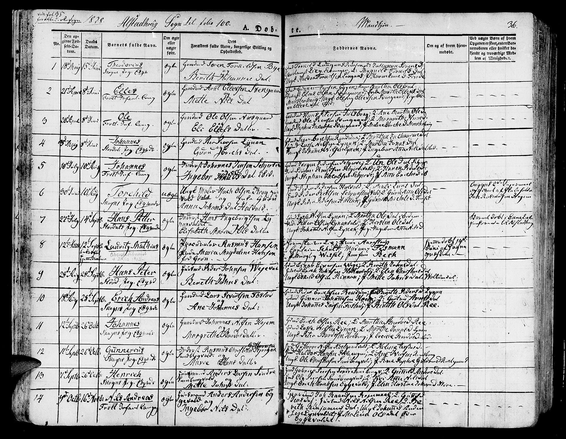 Ministerialprotokoller, klokkerbøker og fødselsregistre - Nord-Trøndelag, SAT/A-1458/717/L0152: Parish register (official) no. 717A05 /1, 1825-1836, p. 36