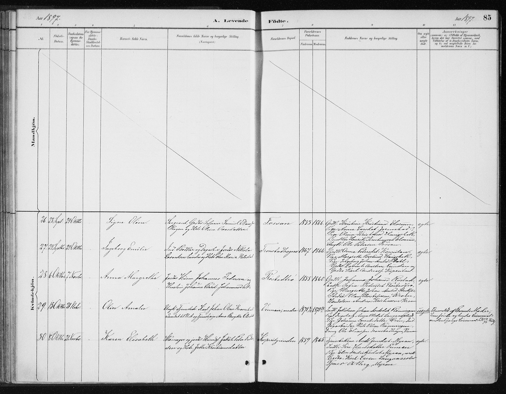 Ministerialprotokoller, klokkerbøker og fødselsregistre - Nord-Trøndelag, SAT/A-1458/701/L0010: Parish register (official) no. 701A10, 1883-1899, p. 85