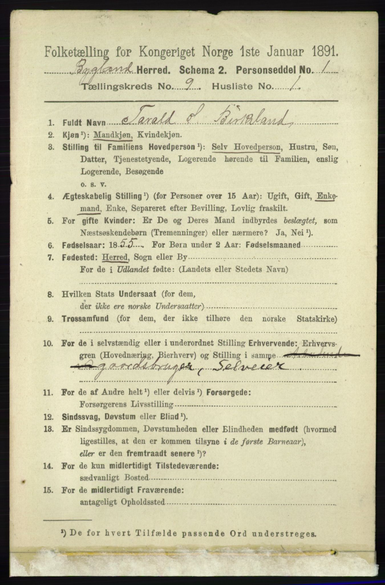 RA, 1891 census for 0938 Bygland, 1891, p. 2252