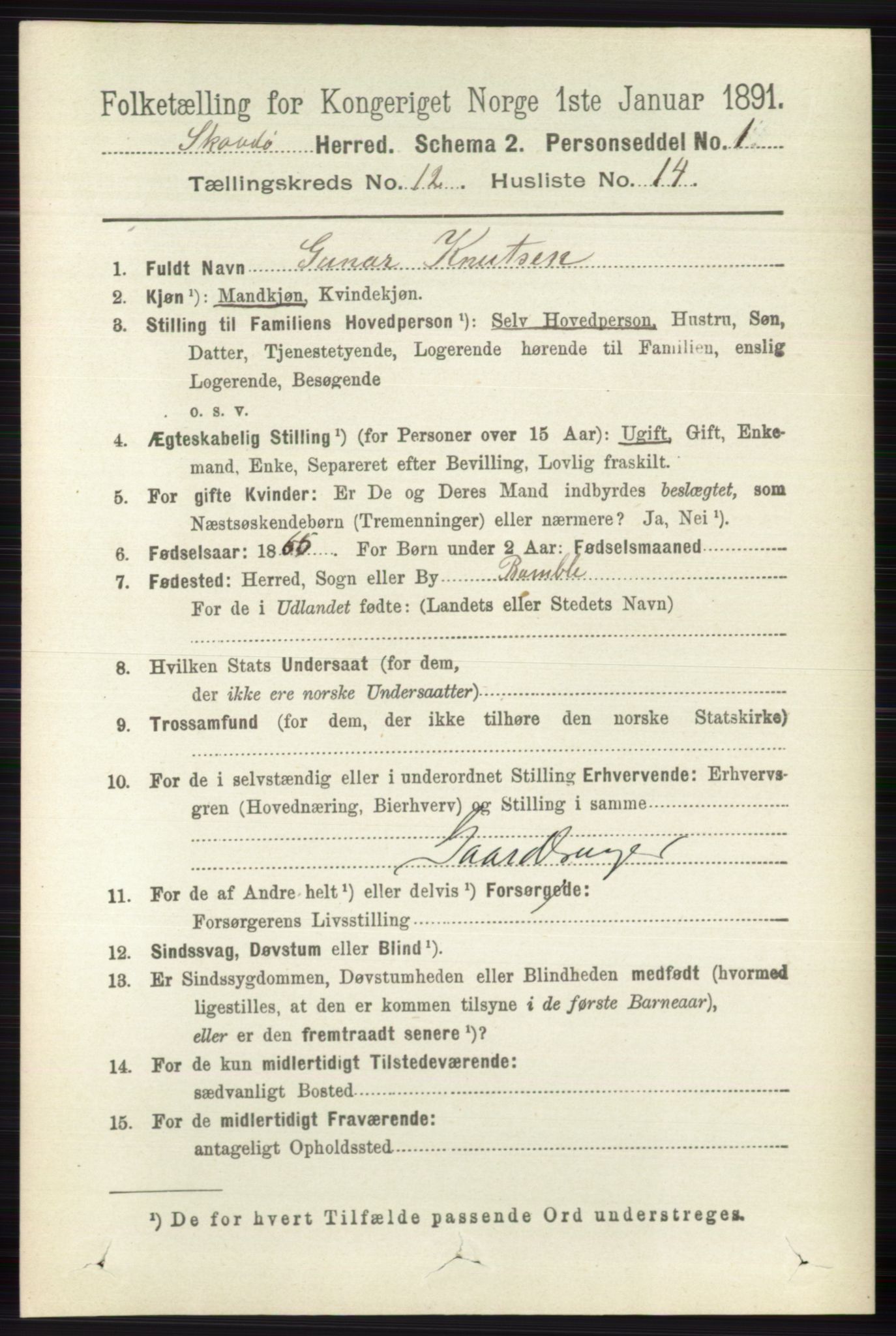 RA, 1891 census for 0815 Skåtøy, 1891, p. 4377