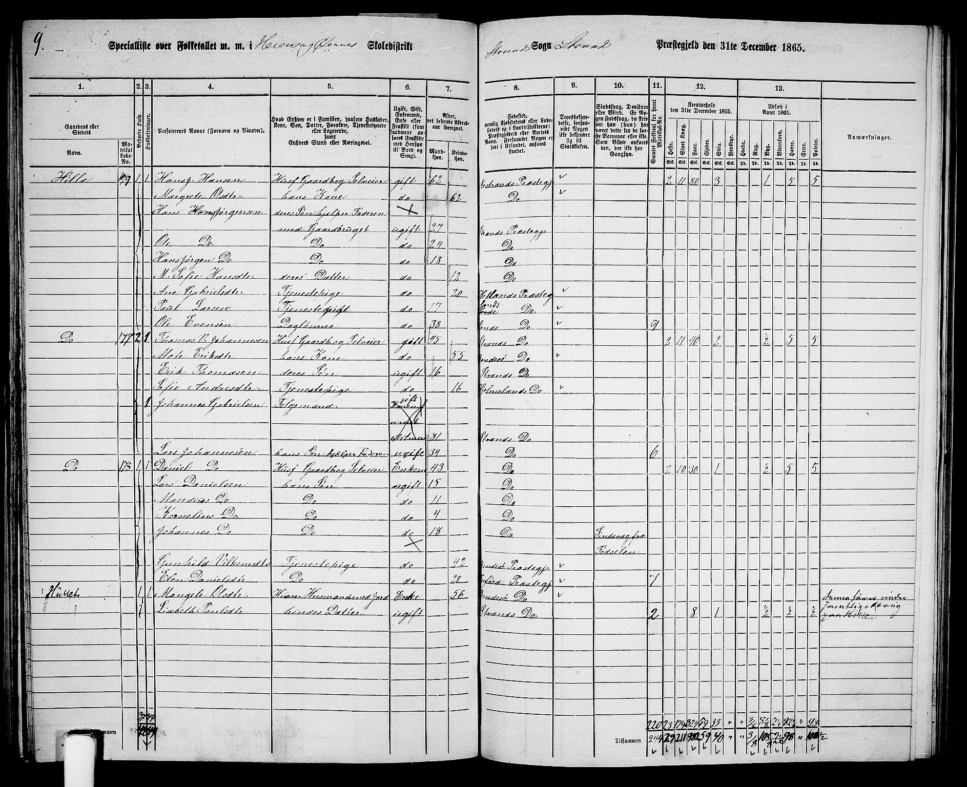 RA, 1865 census for Strand, 1865, p. 65