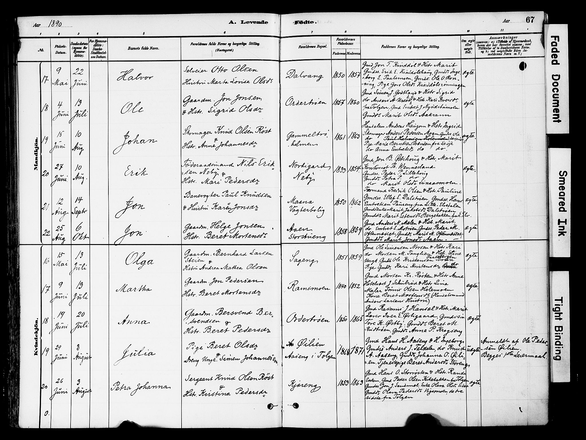 Tynset prestekontor, AV/SAH-PREST-058/H/Ha/Haa/L0022: Parish register (official) no. 22, 1880-1899, p. 67