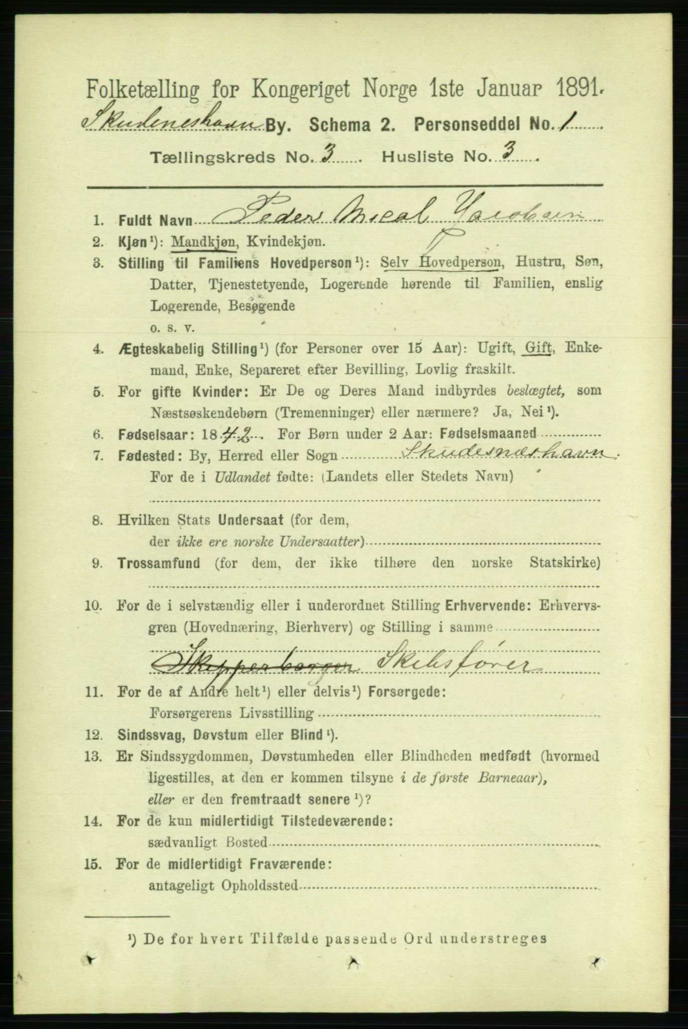 RA, 1891 census for 1104 Skudeneshavn, 1891, p. 972