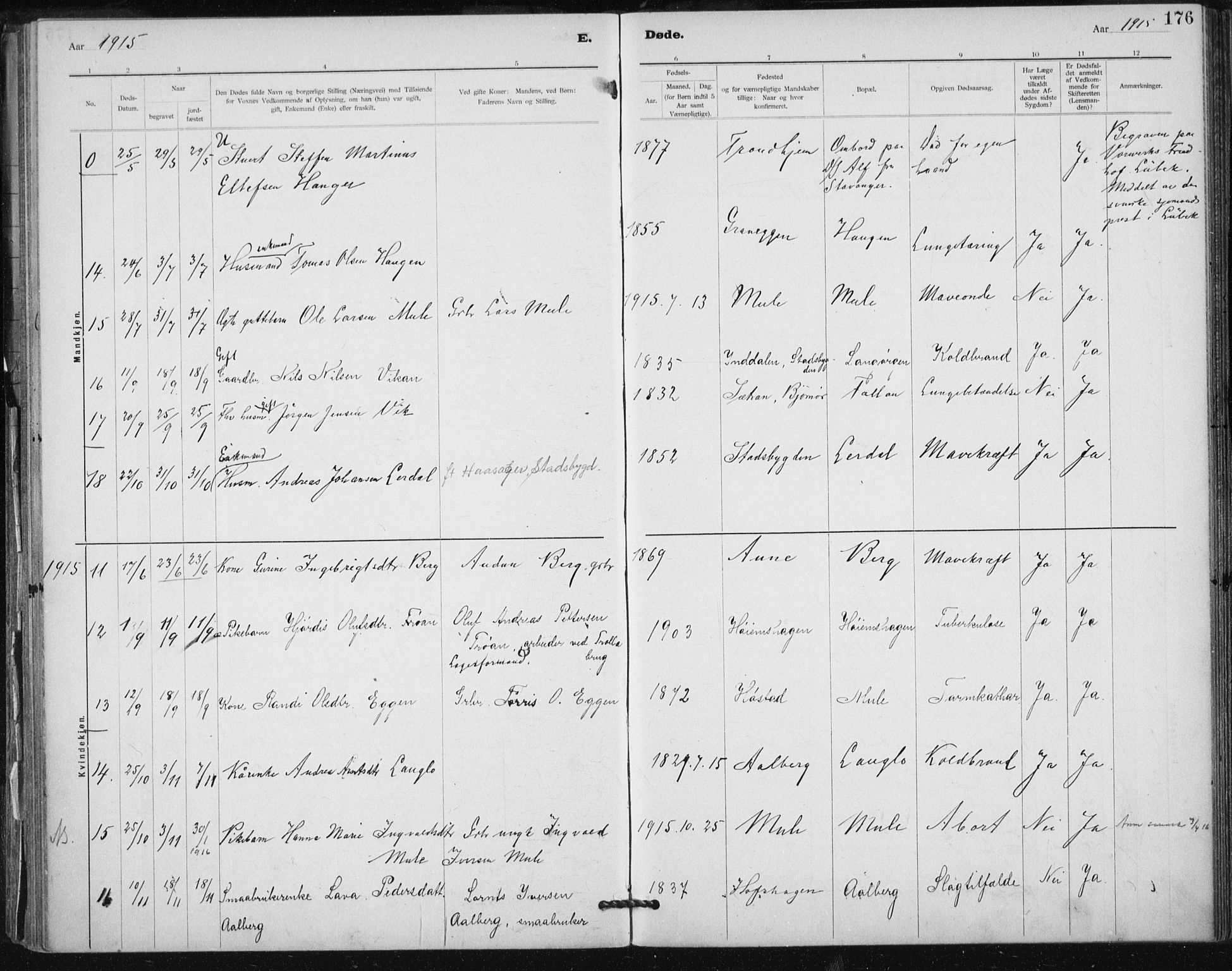 Ministerialprotokoller, klokkerbøker og fødselsregistre - Sør-Trøndelag, AV/SAT-A-1456/612/L0381: Parish register (official) no. 612A13, 1907-1923, p. 176