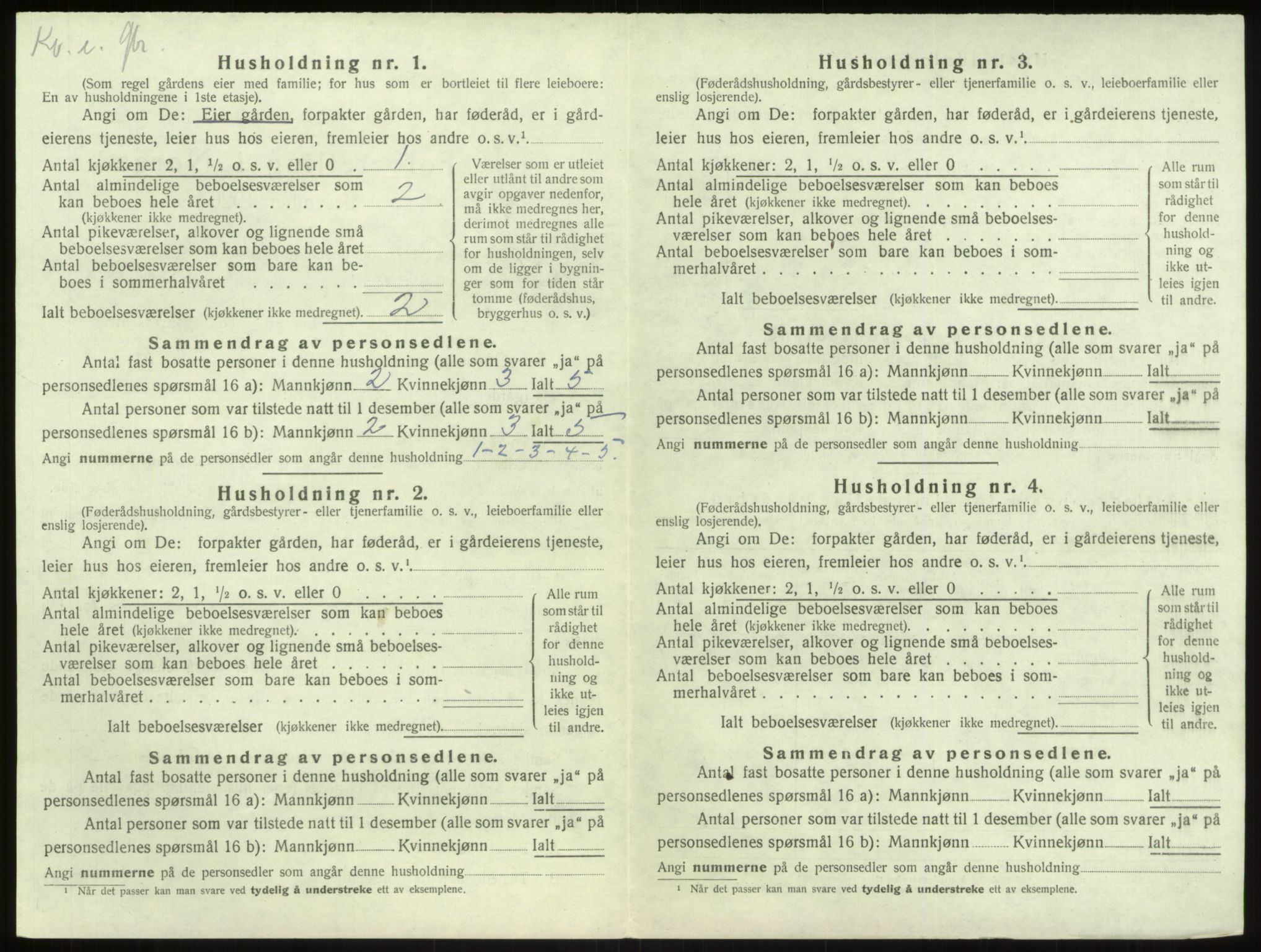 SAB, 1920 census for Vik, 1920, p. 1096