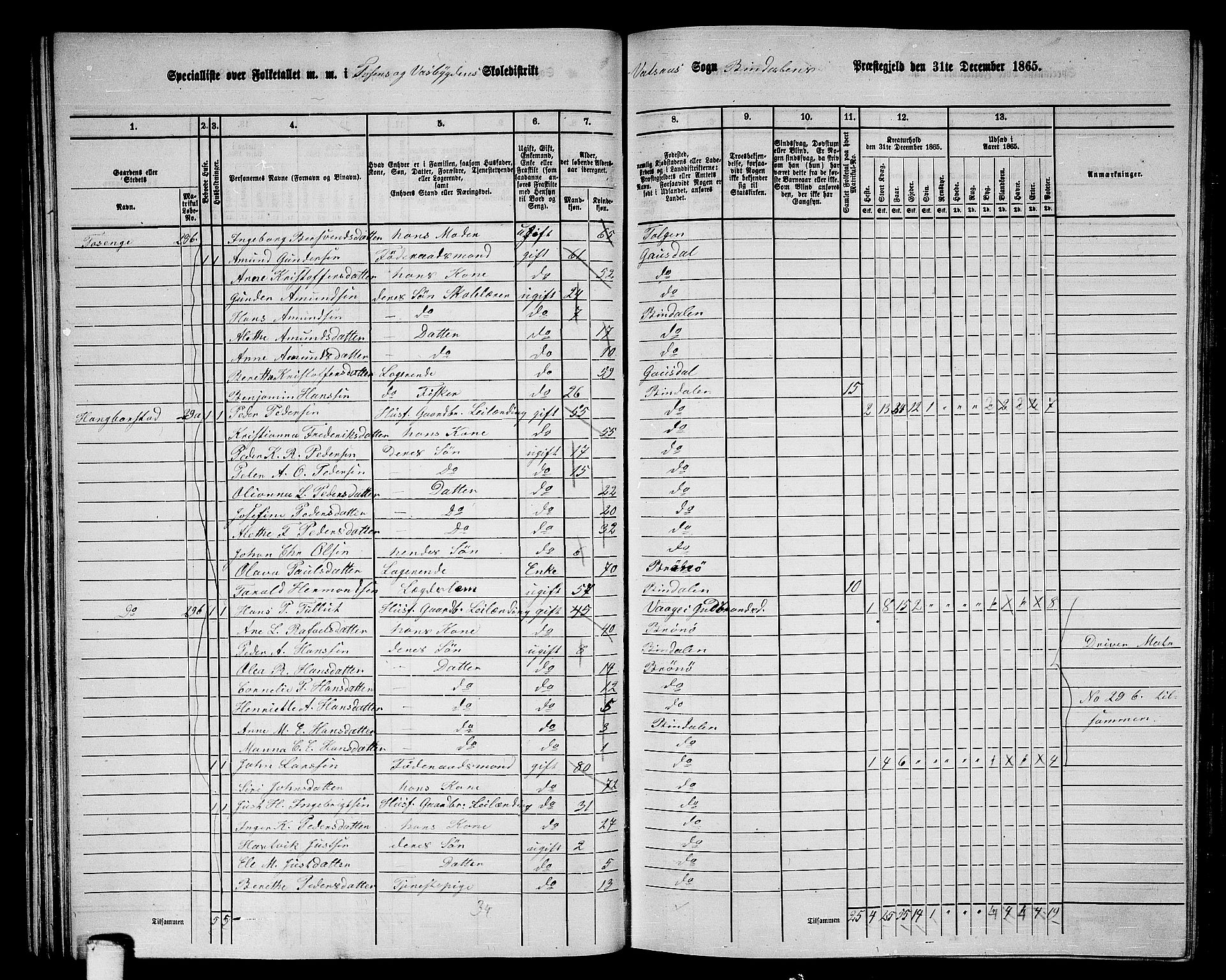 RA, 1865 census for Bindal, 1865, p. 37