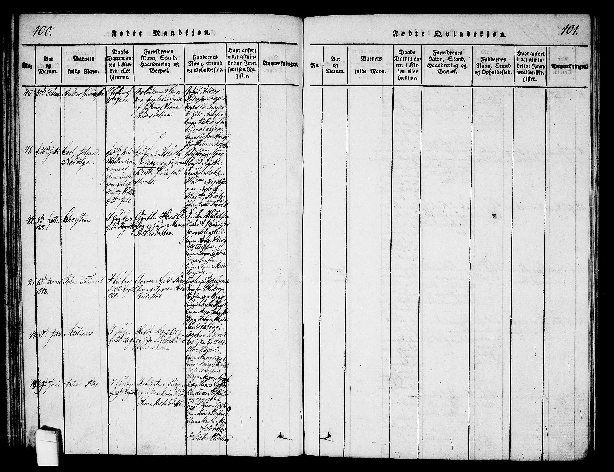 Halden prestekontor Kirkebøker, AV/SAO-A-10909/G/Ga/L0001: Parish register (copy) no. 1, 1815-1833, p. 100-101