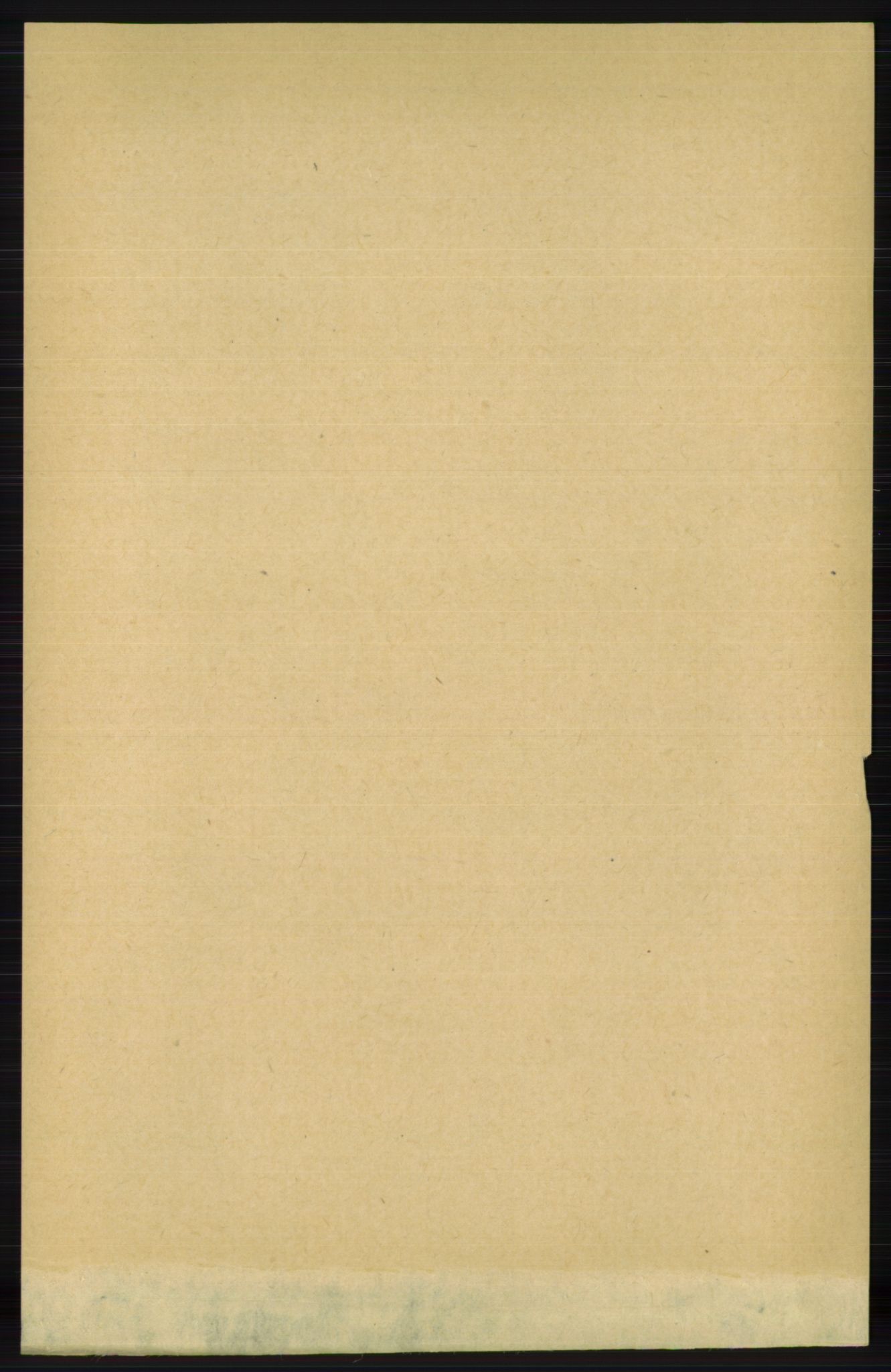 RA, 1891 census for 1147 Avaldsnes, 1891, p. 4204