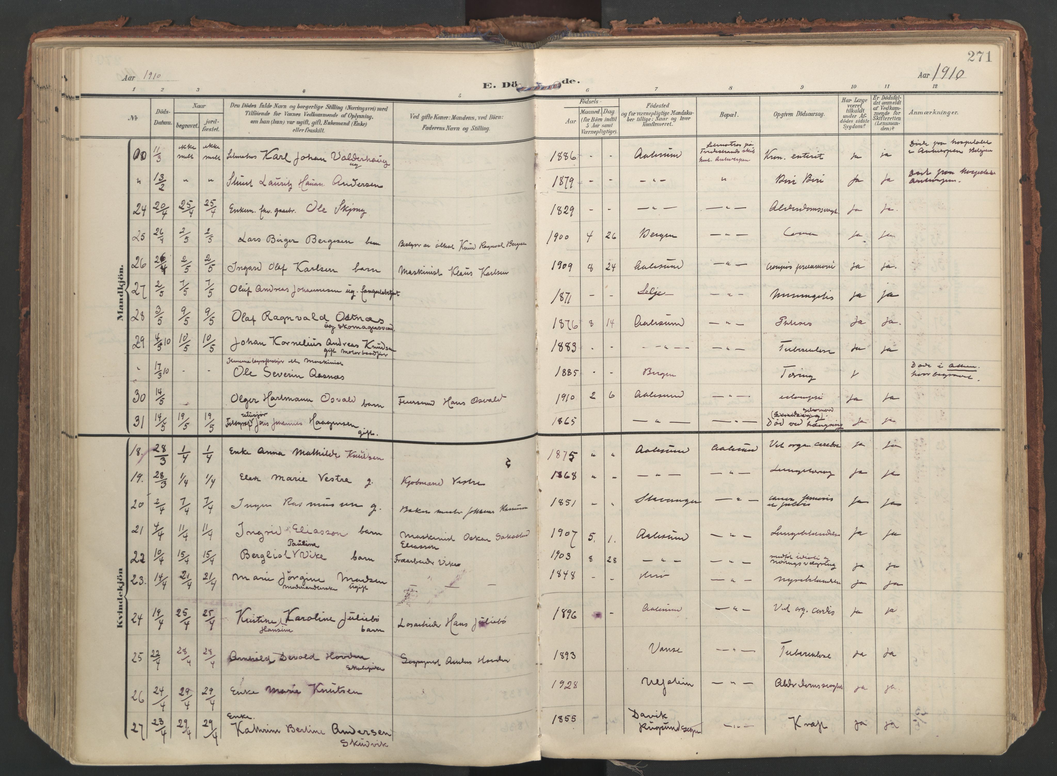 Ministerialprotokoller, klokkerbøker og fødselsregistre - Møre og Romsdal, AV/SAT-A-1454/529/L0459: Parish register (official) no. 529A09, 1904-1917, p. 271