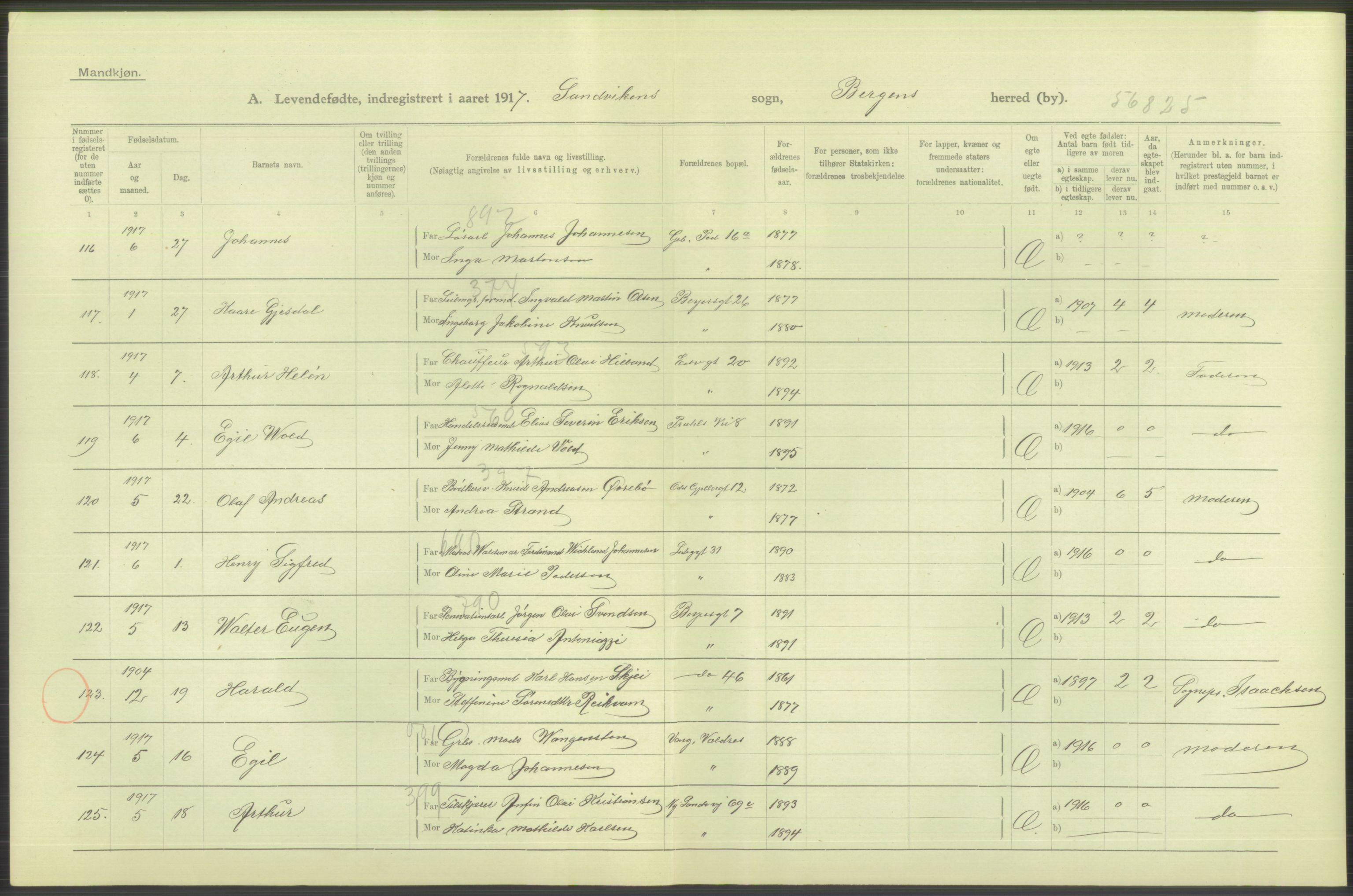 Statistisk sentralbyrå, Sosiodemografiske emner, Befolkning, AV/RA-S-2228/D/Df/Dfb/Dfbg/L0037: Bergen: Levendefødte menn og kvinner., 1917, p. 318