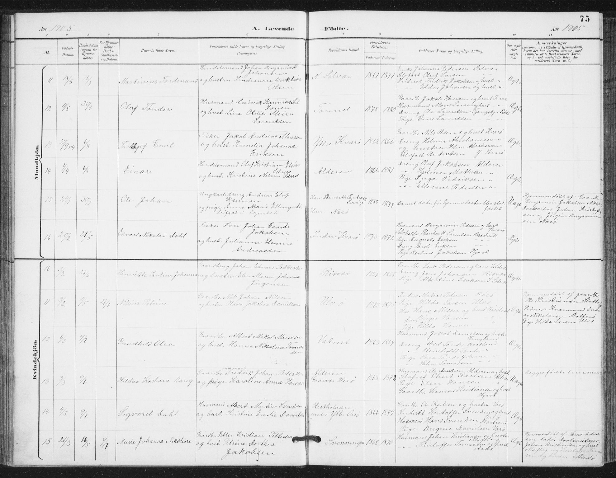 Ministerialprotokoller, klokkerbøker og fødselsregistre - Nordland, AV/SAT-A-1459/839/L0573: Parish register (copy) no. 839C03, 1892-1917, p. 75