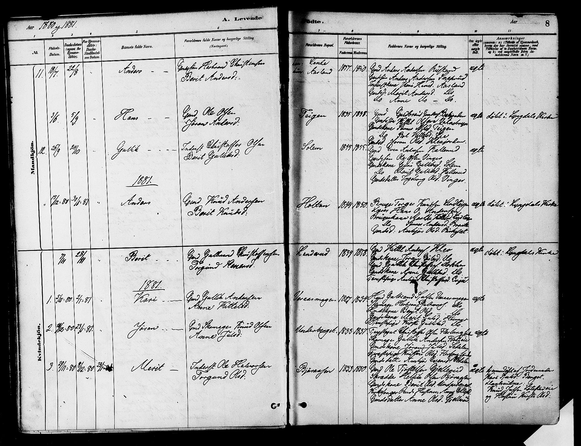 Flesberg kirkebøker, SAKO/A-18/F/Fa/L0008: Parish register (official) no. I 8, 1879-1899, p. 8