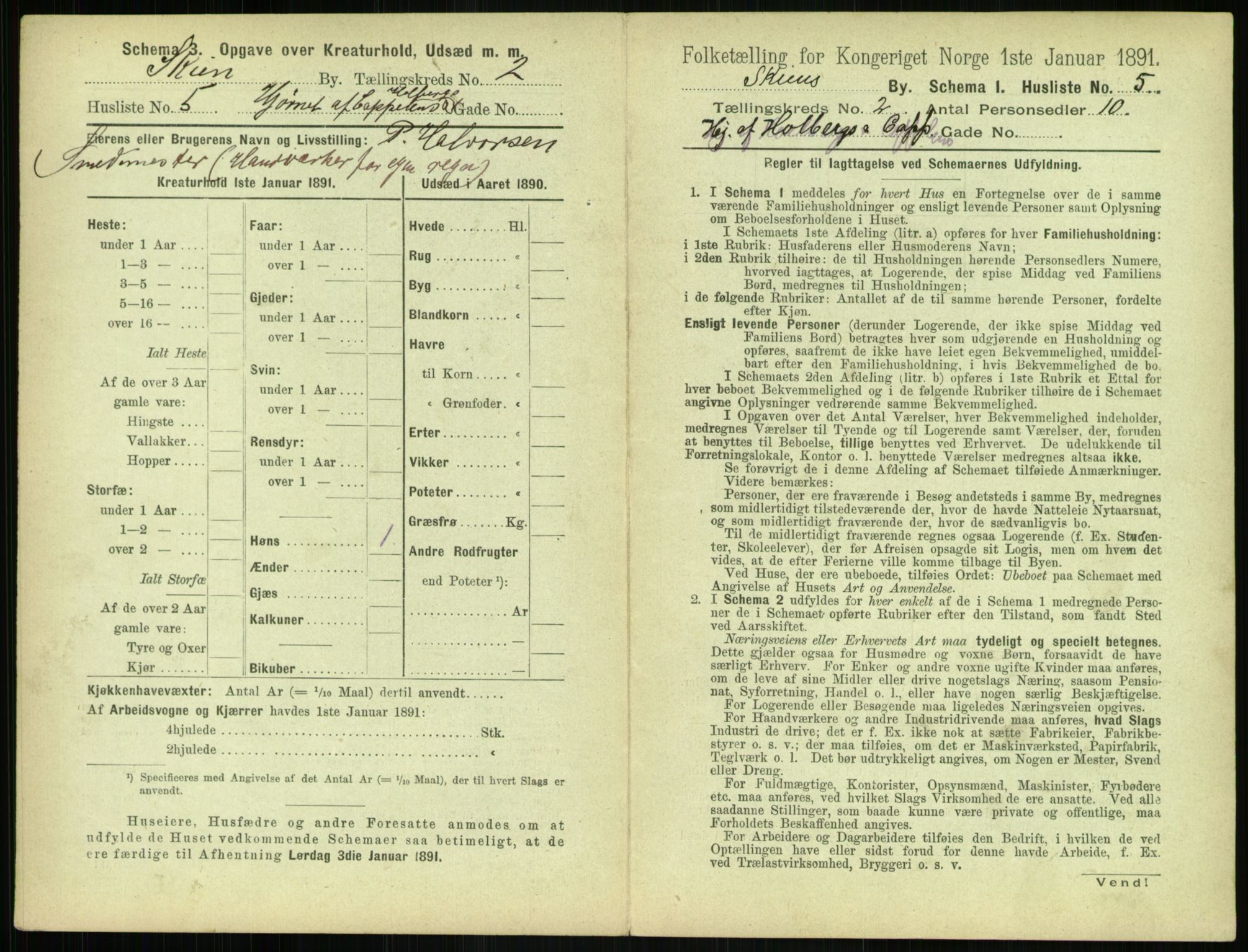 RA, 1891 census for 0806 Skien, 1891, p. 160