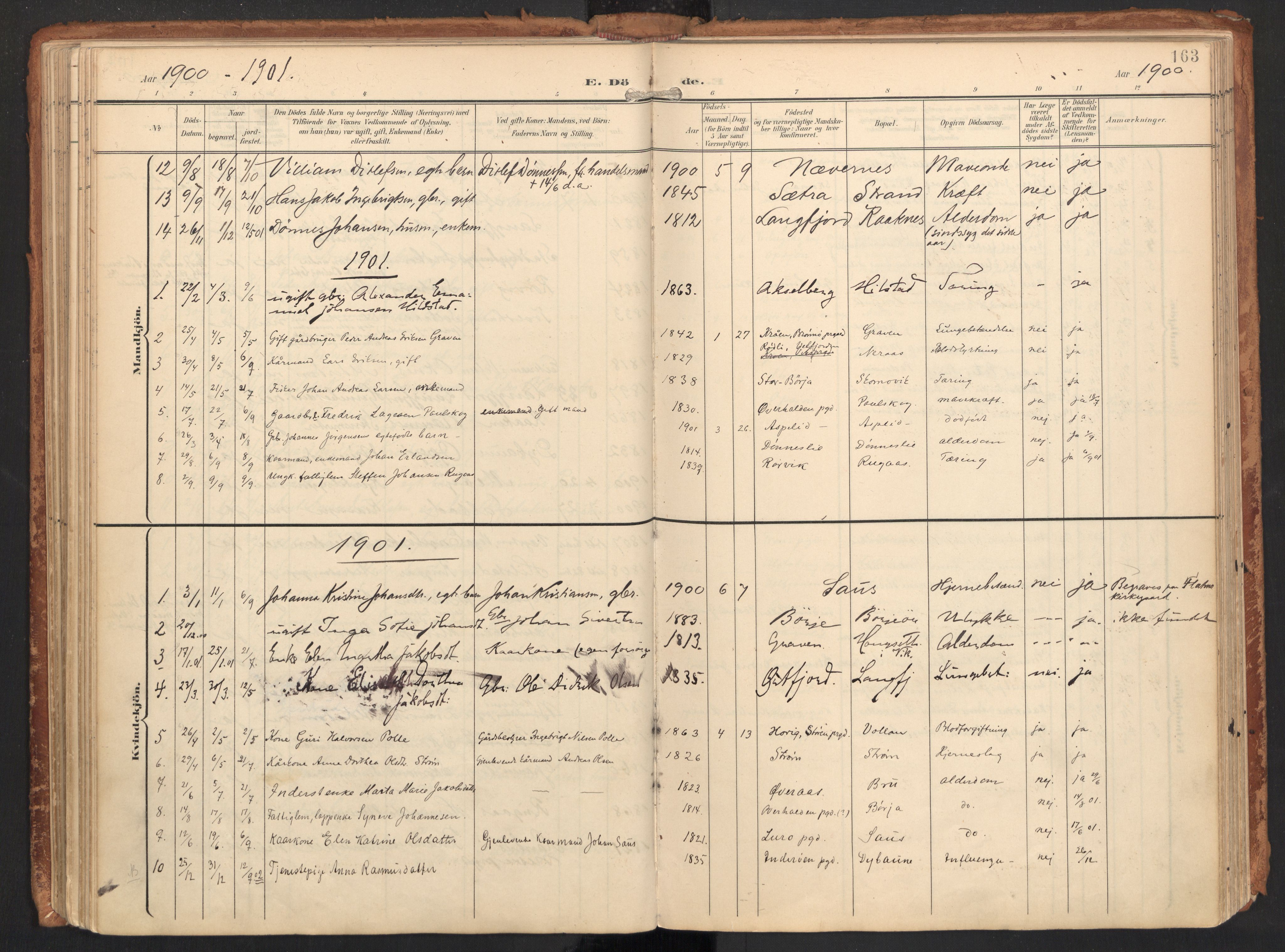 Ministerialprotokoller, klokkerbøker og fødselsregistre - Nordland, SAT/A-1459/814/L0227: Parish register (official) no. 814A08, 1899-1920, p. 163