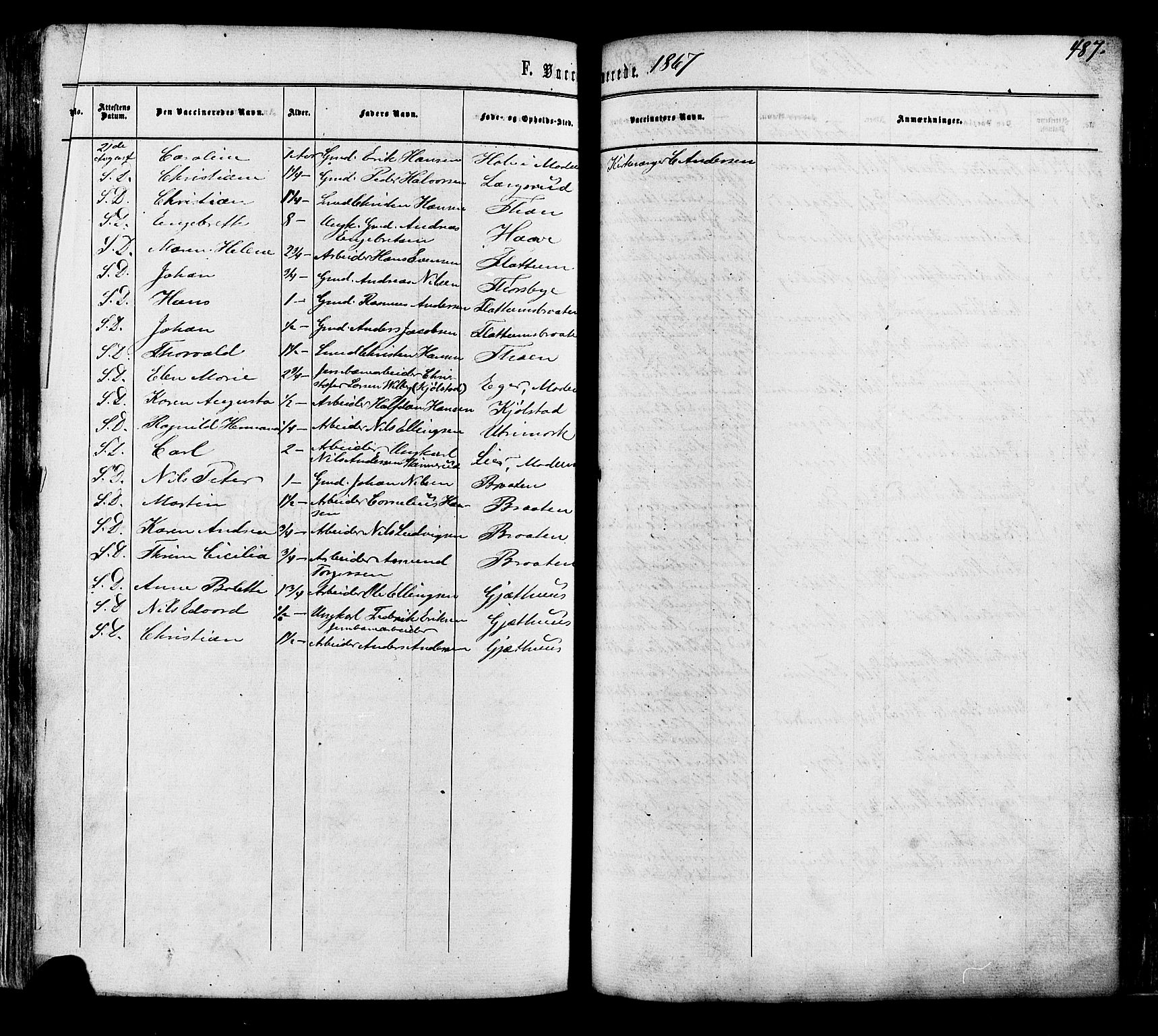 Modum kirkebøker, AV/SAKO-A-234/F/Fa/L0010: Parish register (official) no. 10, 1865-1876, p. 487