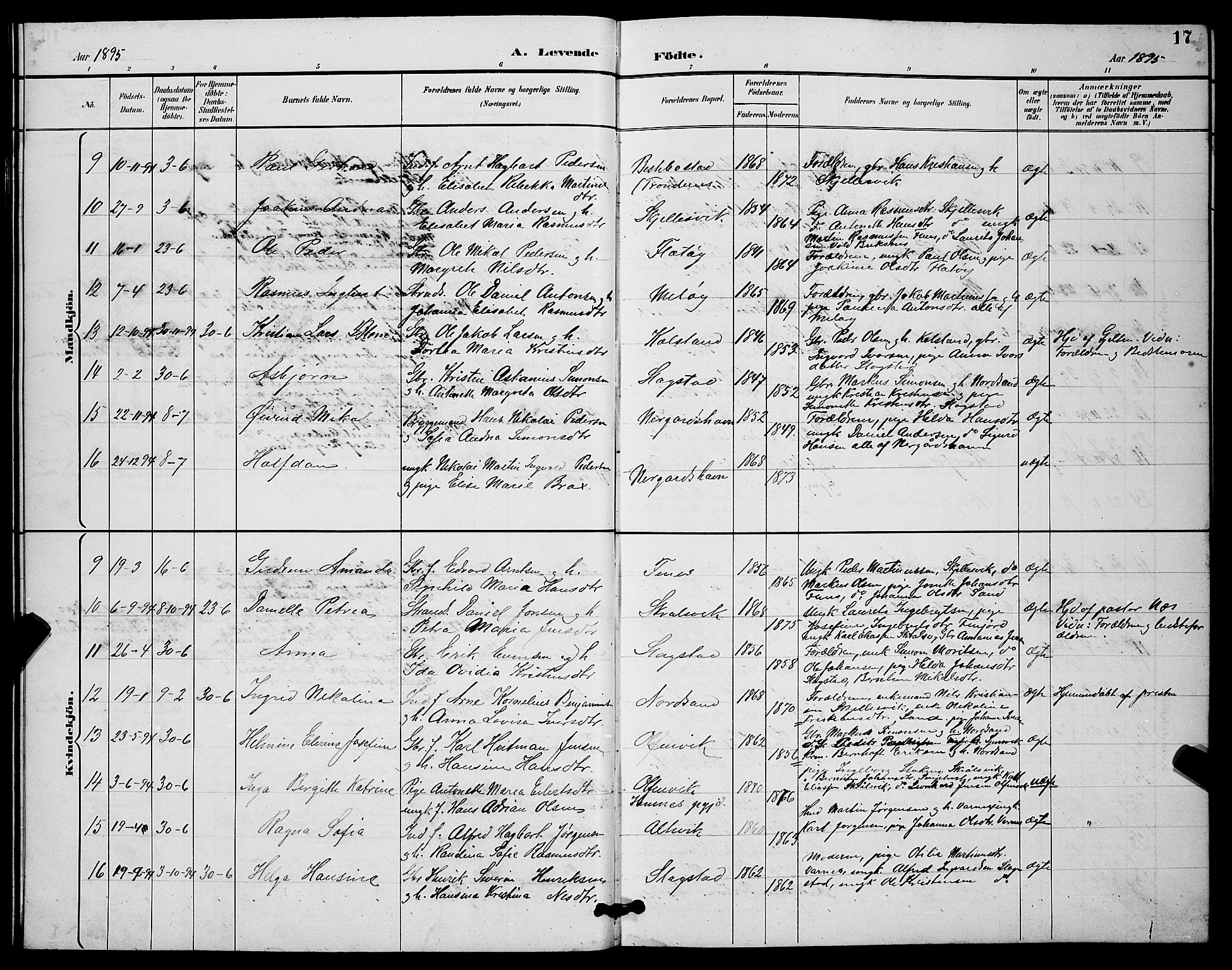 Sand/Bjarkøy sokneprestkontor, AV/SATØ-S-0811/I/Ia/Iab/L0003klokker: Parish register (copy) no. 3, 1891-1904, p. 17